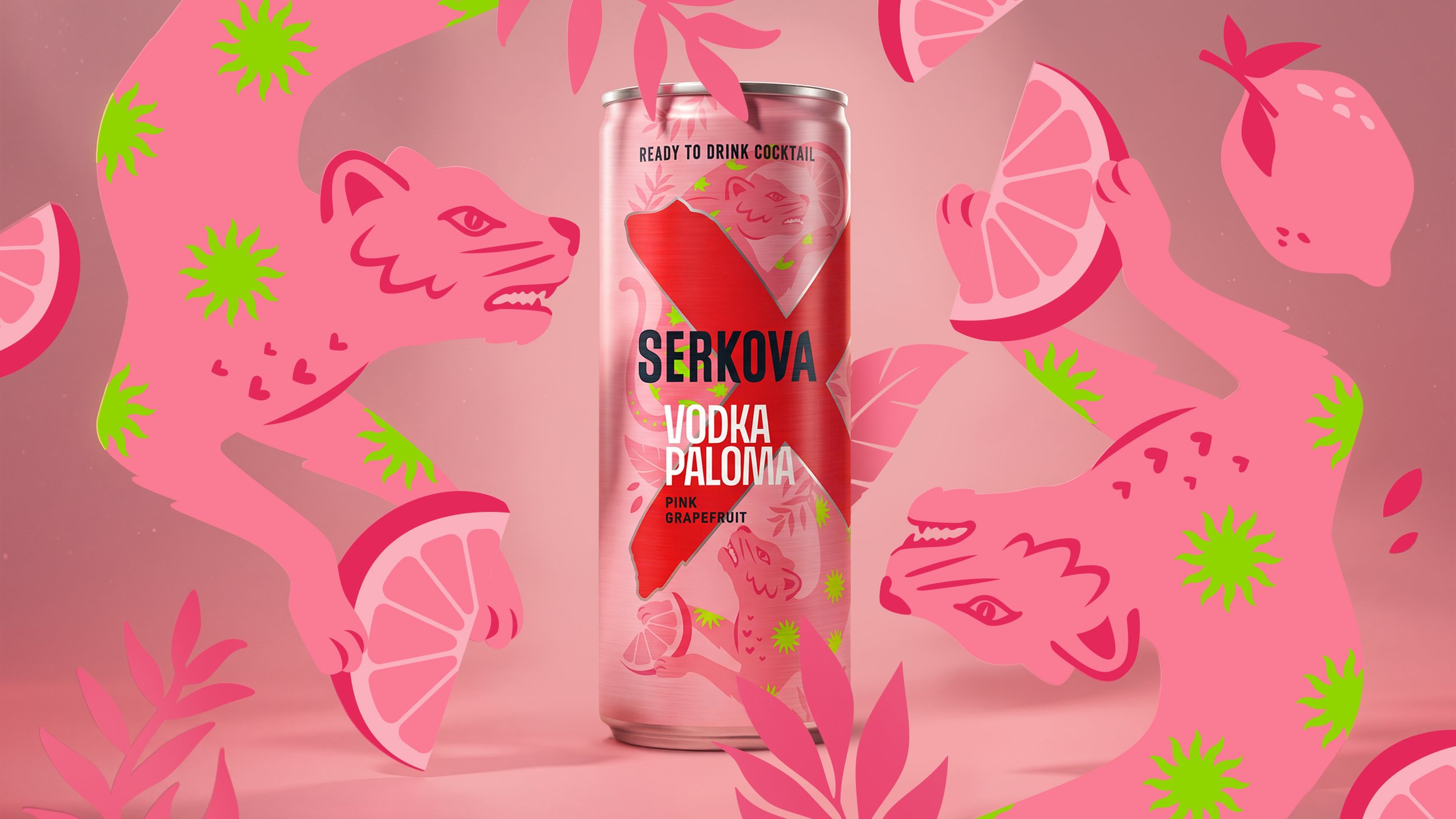 Paloma_illustrations.jpg