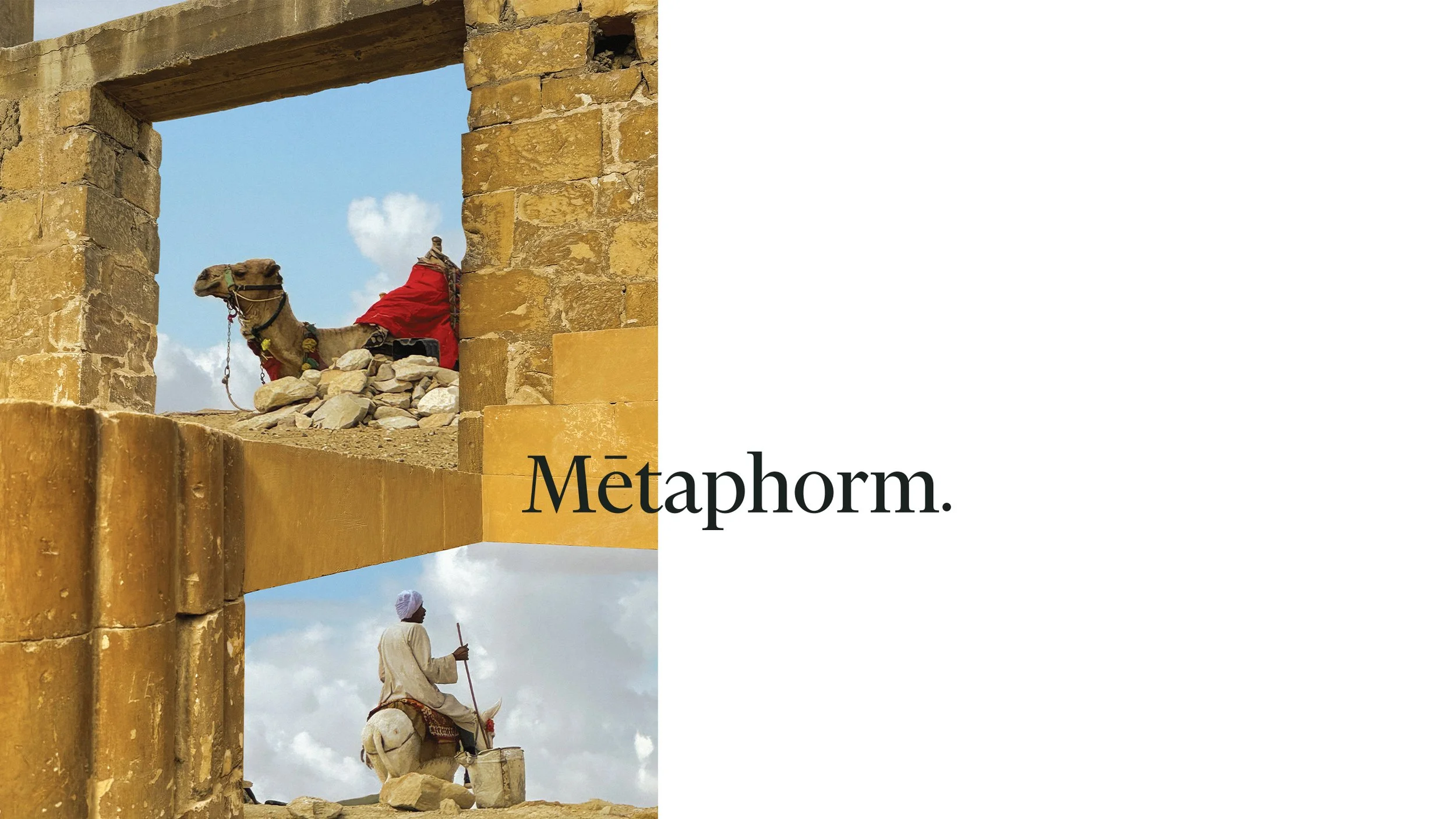 Metaphorm_1.jpg