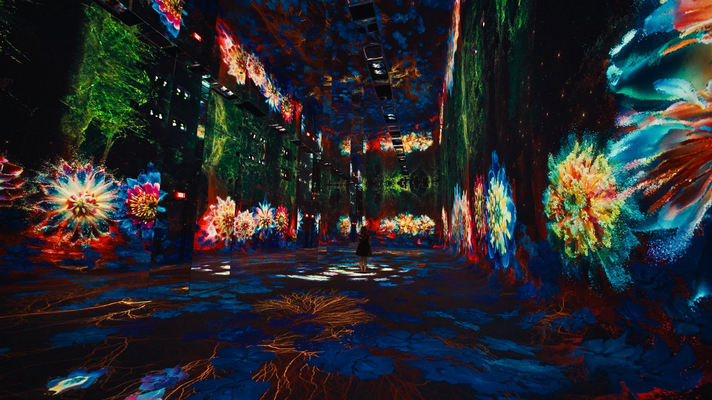 DATALAND