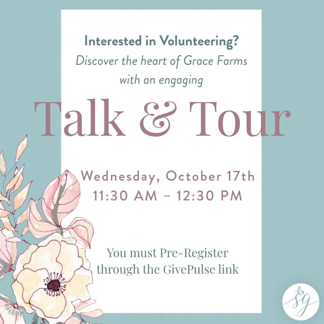 Get a behind-the-scenes look at what makes Saving Grace so special and discover all the ways you can use your gifts to pour into the lives of young women who call this place home. 🌻

💪 Volunteer Opportunities Include:
📬 Office Team | 🚐 Transporta
