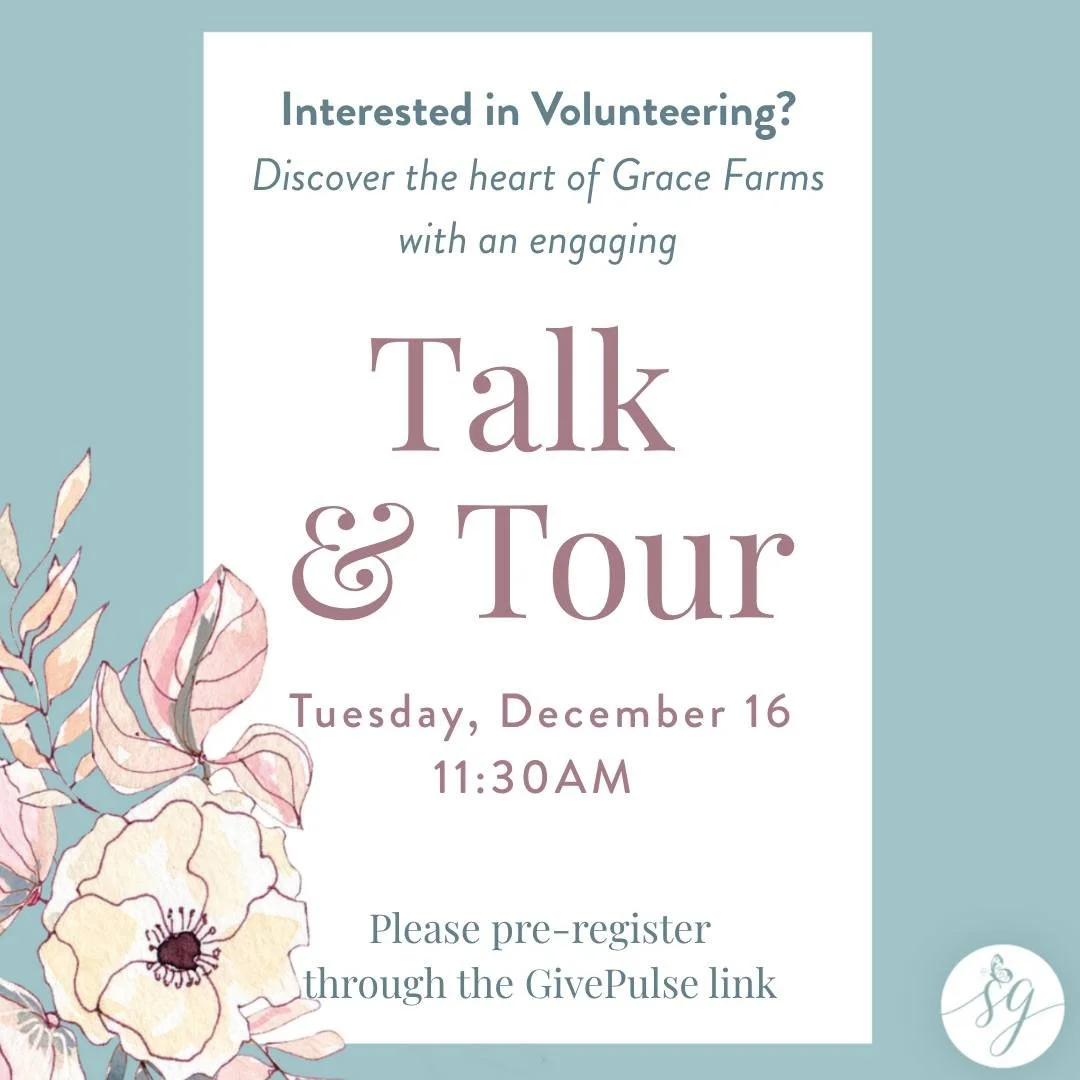 🎄 Join Us for a Talk &amp; Tour! 🎄

📅 Date: Tuesday, Dec 16
⏰ Time: 11:30 AM &ndash; 12:30 PM

Step into the heart of Grace Farms for an inspiring Talk &amp; Tour filled with excitement and discovery!

✨ Volunteer with Us!
Whether you love mentori