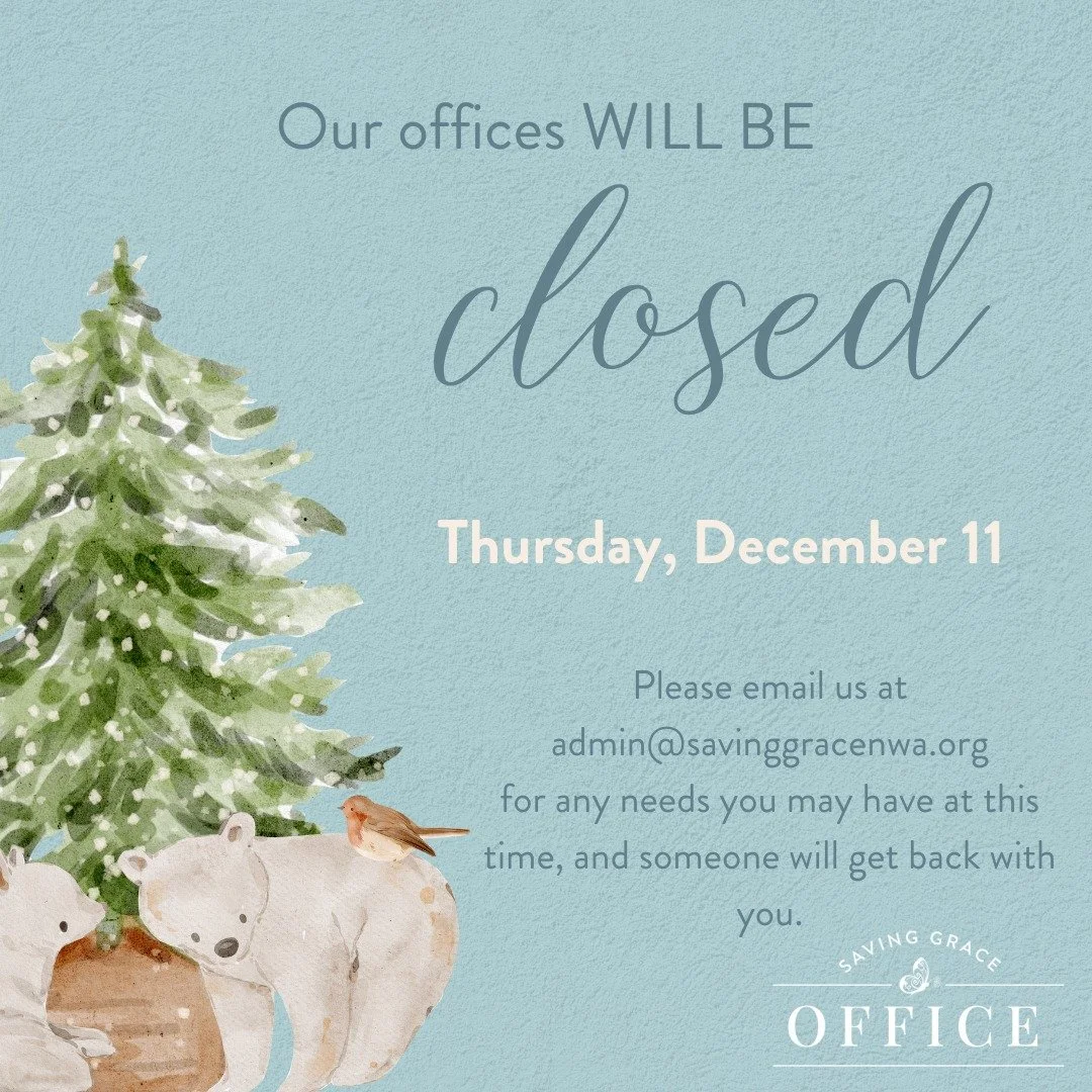 ✨ Out of office for a little Christmas cheer! Our team is celebrating together today and will return tomorrow.

For any needs, email admin@savinggracenwa.org and we&rsquo;ll respond as soon as we can. 🎁
