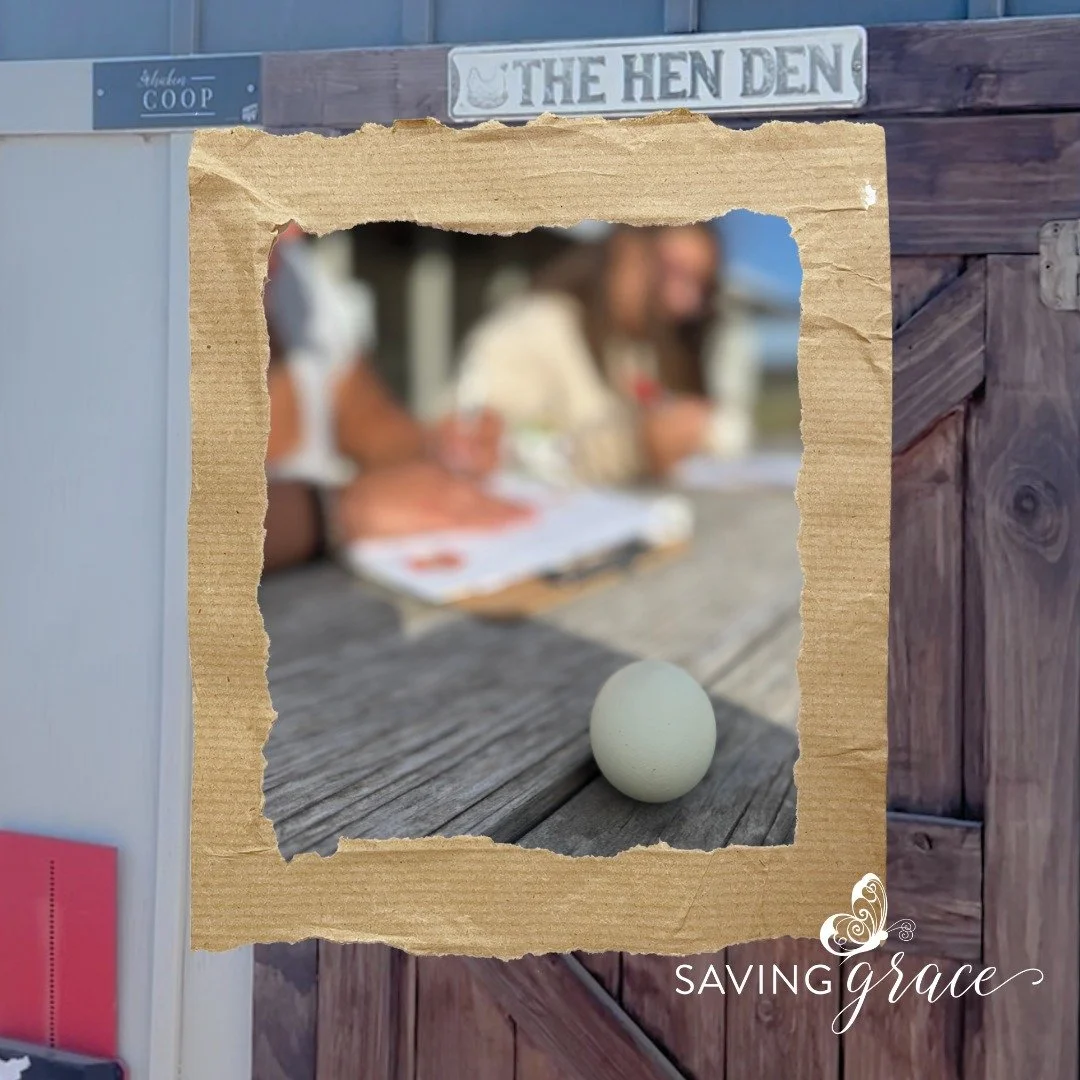 During GroundWork, Grace leaned into an exercise with the chickens and eggs, learning about life cycles, coop and living space, food and water, and the way health and behavior are shaped by daily care.🥚🐥

When asked what she took away from learning