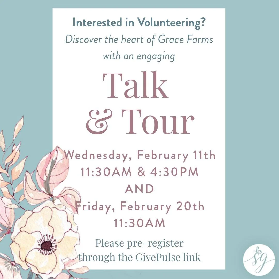 Curious about volunteering at Saving Grace? 💕

Our Talk &amp; Tours are the perfect way to learn more, meet our team, and see Grace Farms up close.

Come learn how our volunteer community mentors, serves, and walks alongside Grace in meaningful ways