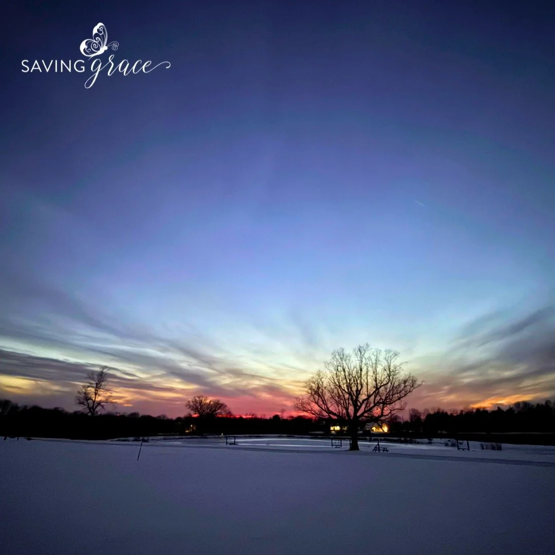 Digging Deeper: What Survival Mode Really Looks Like

Survival mode isn&rsquo;t always loud.
It doesn&rsquo;t always look like chaos or crisis.

Often, survival mode looks like staying guarded. Staying ready. Staying alert.
It is living with your ner