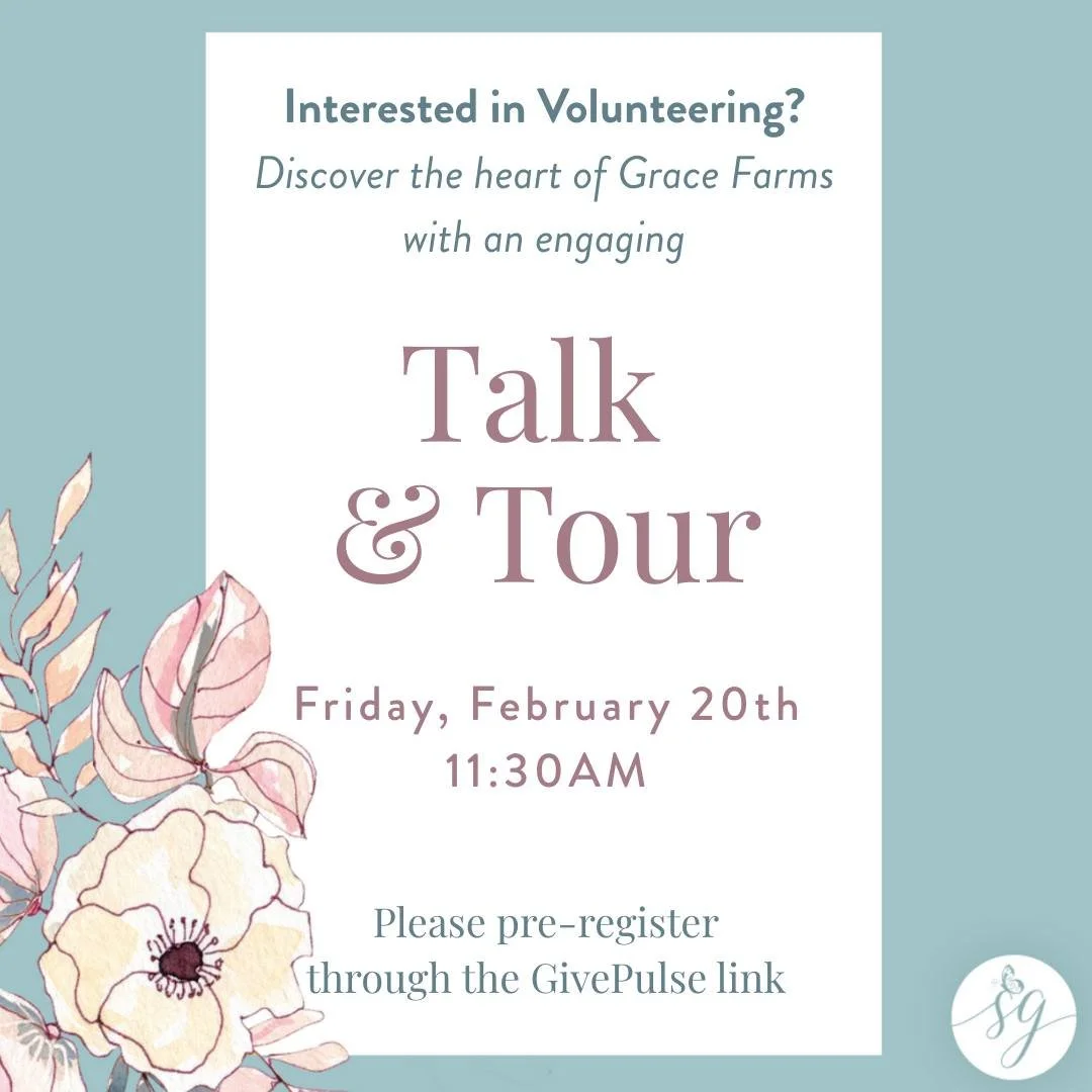 Curious about volunteering at Saving Grace? 💗

Our Talk &amp; Tours are the perfect way to learn more, meet our team, and see Grace Farms up close.

Come learn how our volunteer community mentors, serves, and walks alongside Grace in meaningful ways