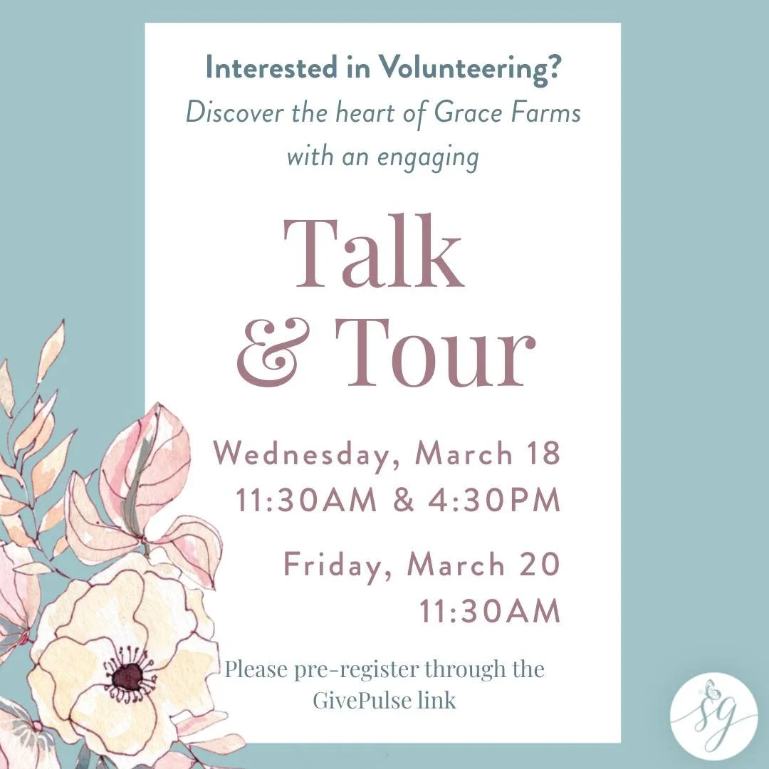 🍀 You&rsquo;re invited to Grace Farms this March 🍀

Join us for a Talk &amp; Tour to learn more about the heart, mission, and volunteer community of Saving Grace. You&rsquo;ll see the property, hear about our program, and discover the many ways you