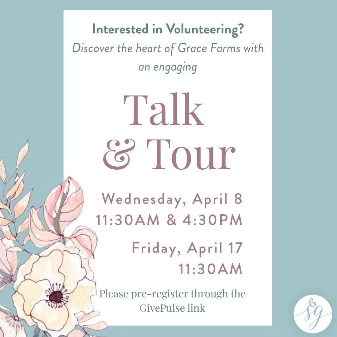 April is in full bloom, and there&rsquo;s no better time to experience Grace Farms. 🌿🌸

Join us for a Talk &amp; Tour this month and learn more about the heart, mission, and volunteer community of Saving Grace. You&rsquo;ll see the property, hear a
