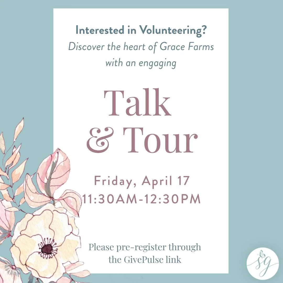 April is in full bloom, and there&rsquo;s no better time to experience Grace Farms. 🌿🌸

Join us for a Talk &amp; Tour this month and learn more about the heart, mission, and volunteer community of Saving Grace. You&rsquo;ll see the property, hear a
