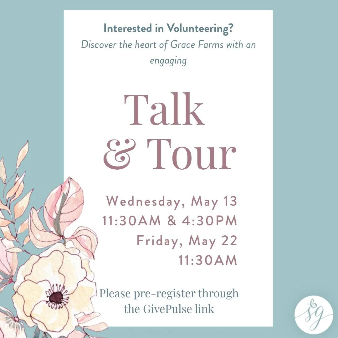 🌿 You&rsquo;re invited to Grace Farms this May 🌿

Join us for a Talk &amp; Tour to learn more about the heart, mission, and volunteer community of Saving Grace. You&rsquo;ll see the property, hear about our program, and discover the many ways you c