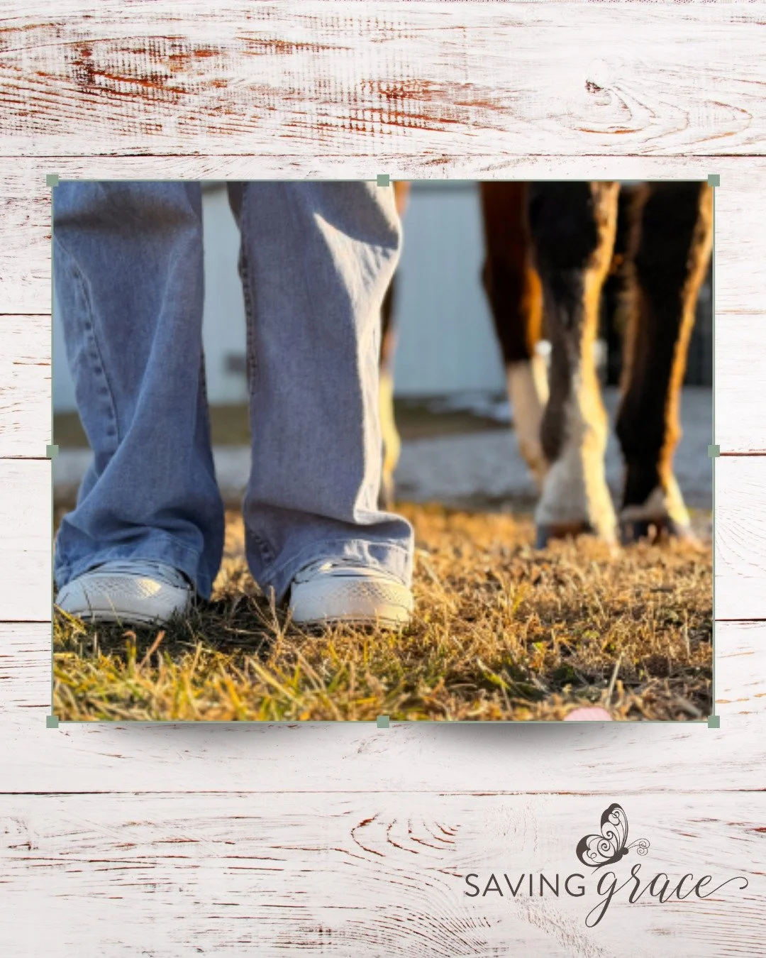 Growth happens one step at a time. 🌱

Grace Farms is more than a peaceful place &mdash; it&rsquo;s where young women at Saving Grace practice the foundations of independence through everyday rhythms and responsibilities. Through caring for animals, 