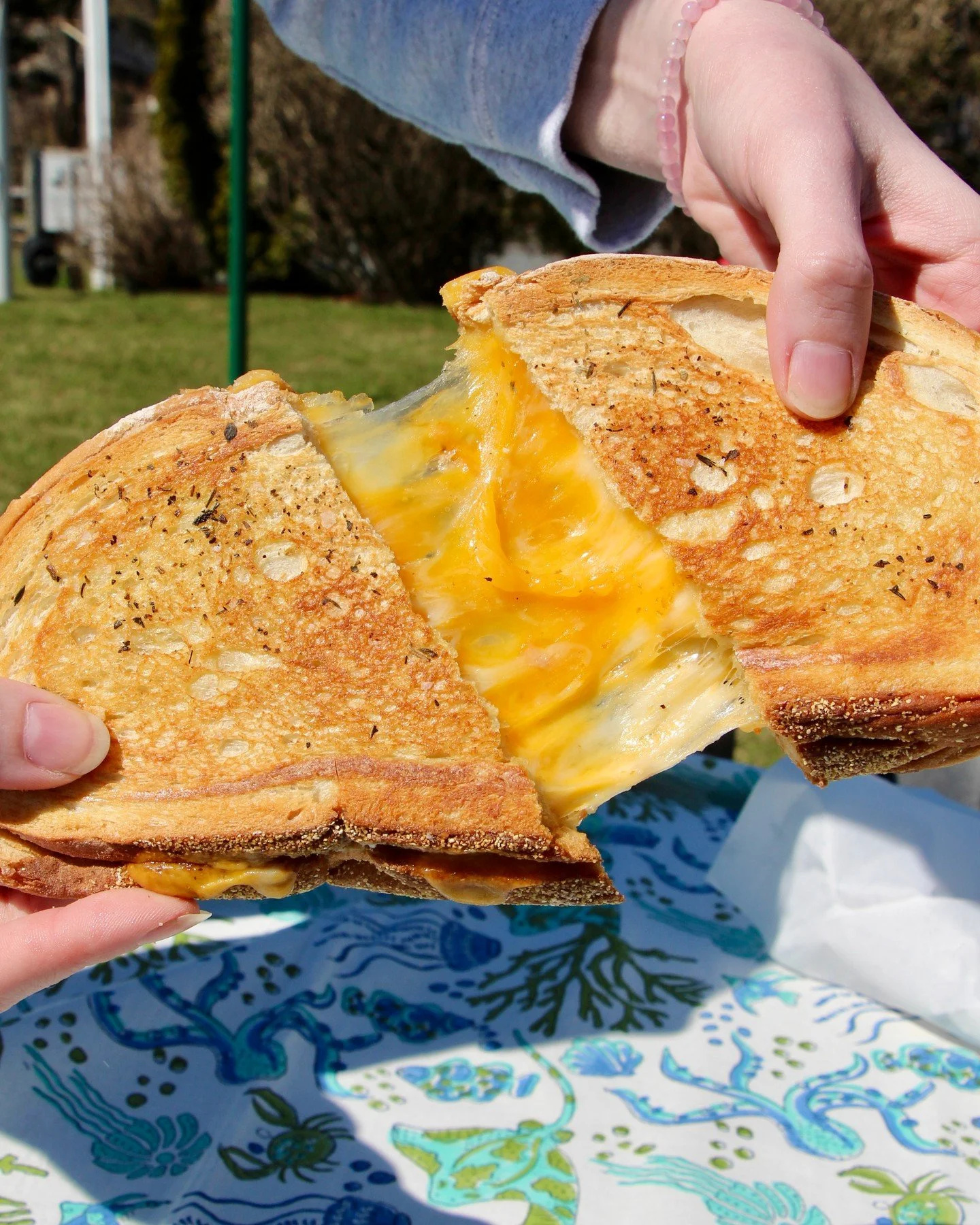Sometimes nothing hits the spot like a classic grilled cheese! 🧀 Indulge in a little goodness Thursday, Saturday, and Sunday! @town.cove.taps