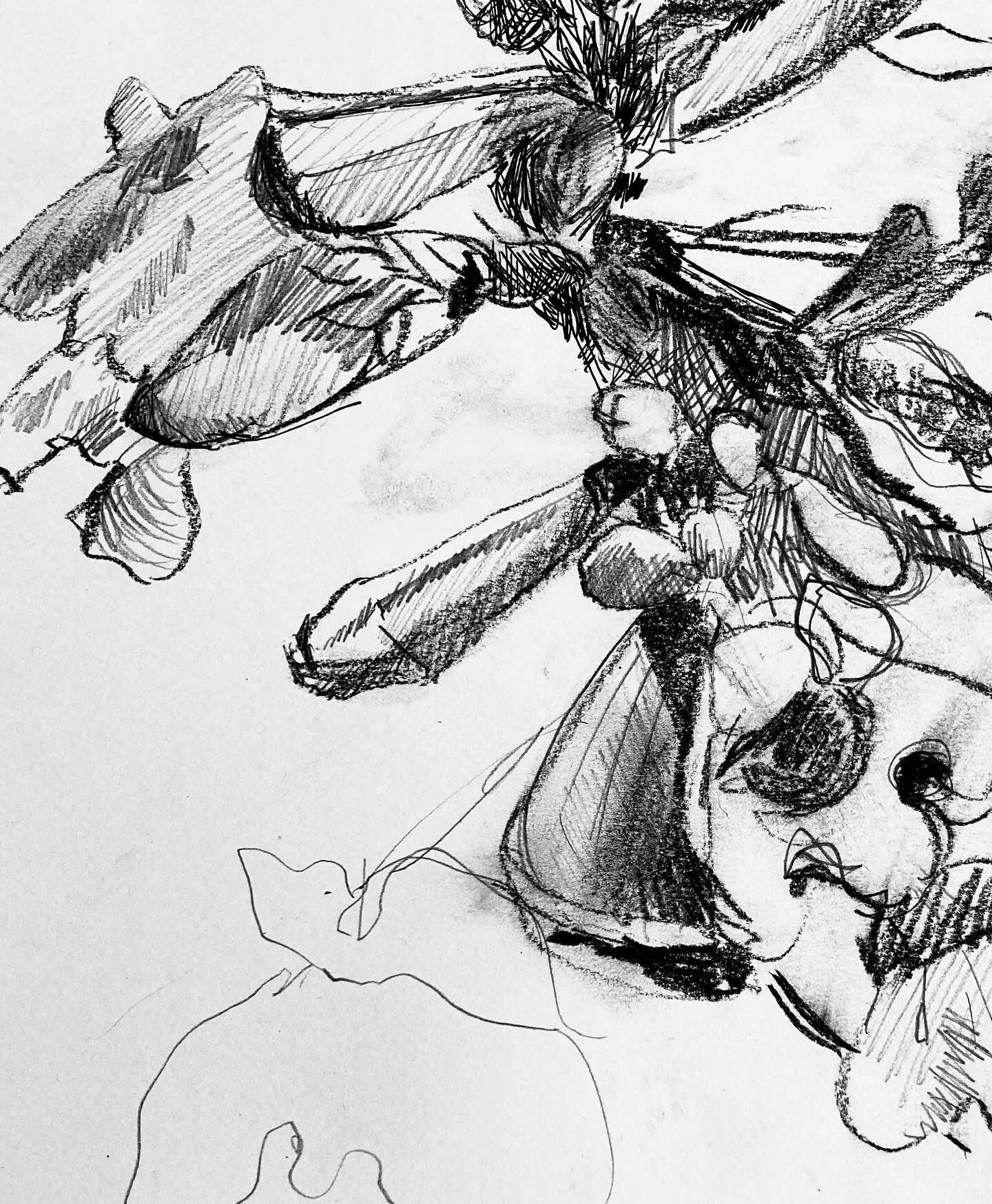Back to the quiet soothing of loose sketching after a busy few months- head buried in hedgerows, flower nodes and rural ramblings. 

@rural @hedgerow @walkinguk @walking.the.land @walking 
@sketchlondon @botanicalart @plantlife.loveplants @rewildflow