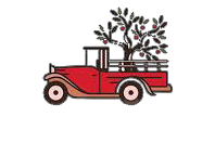 Marina Market