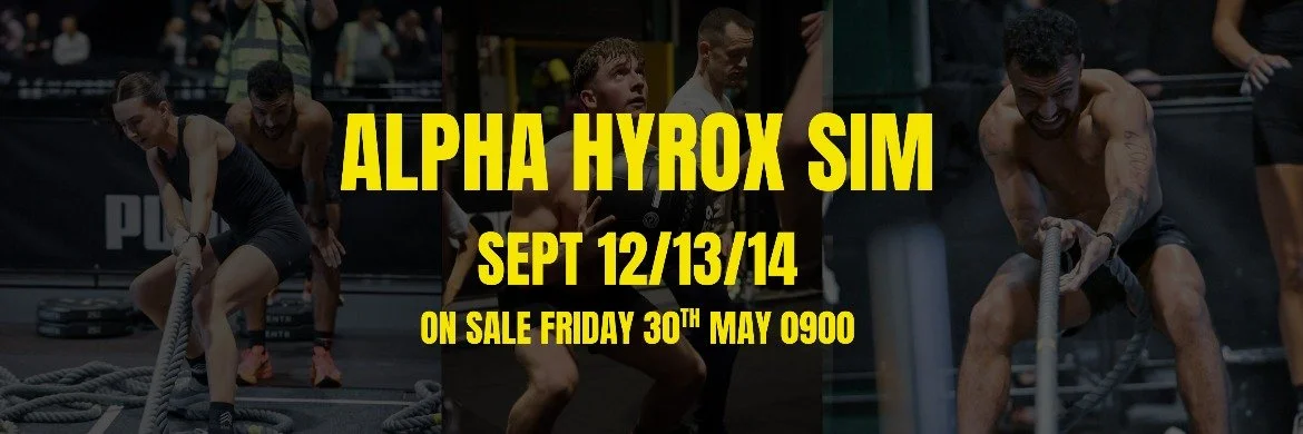 ALPHA HYROX SIMULATOR