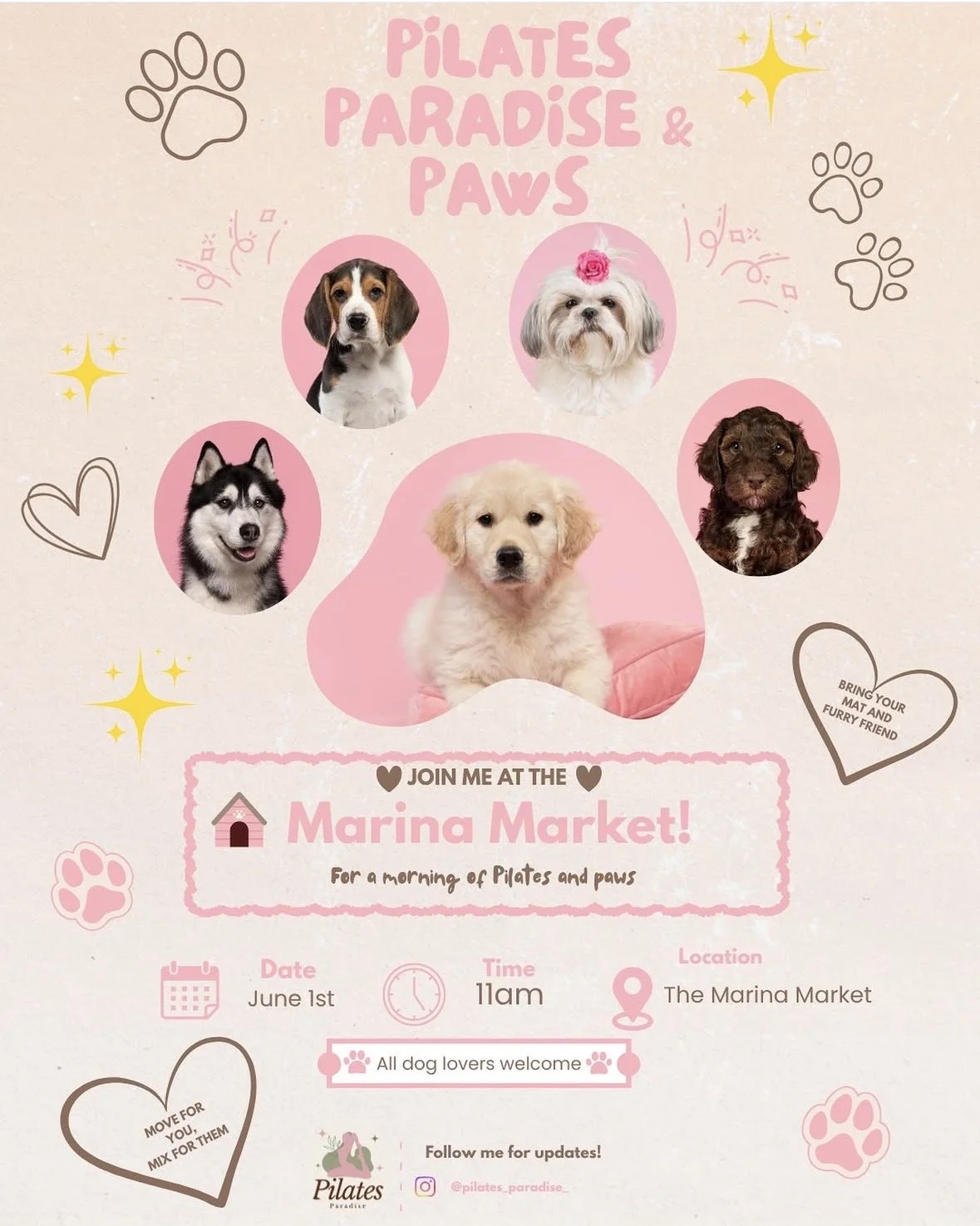 Pilates Paradise & Paws