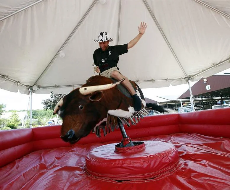 Rodeo Bull 