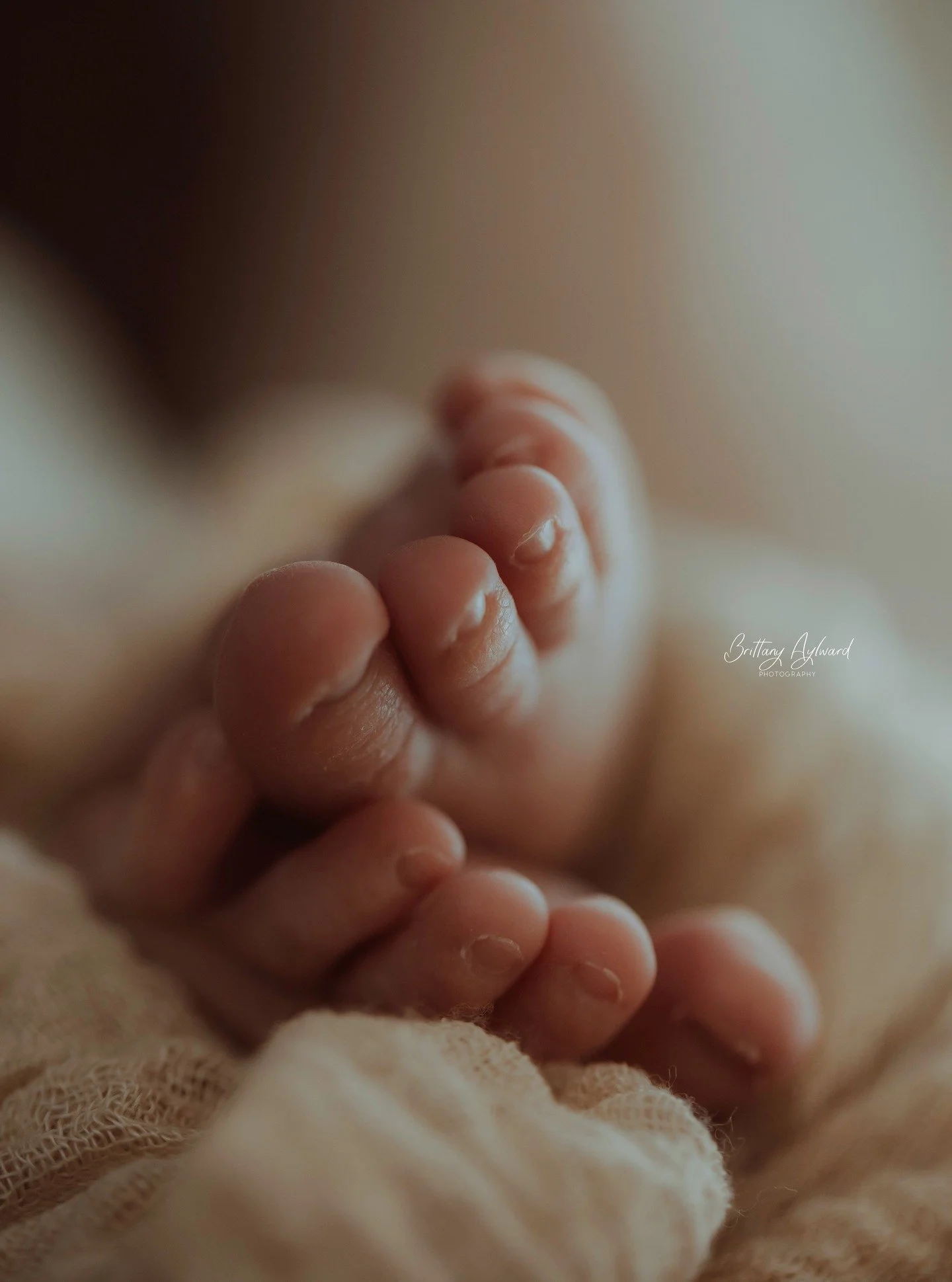 I LOVE these macro detail shots! I always do my best to get a few for newborn sessions AND wedding detail shots! Love my macro lens <3 #macrolens #newbornphotography #canoncamera#peinewbornphotography#peinewbornphotographer#charlottetownphotograph