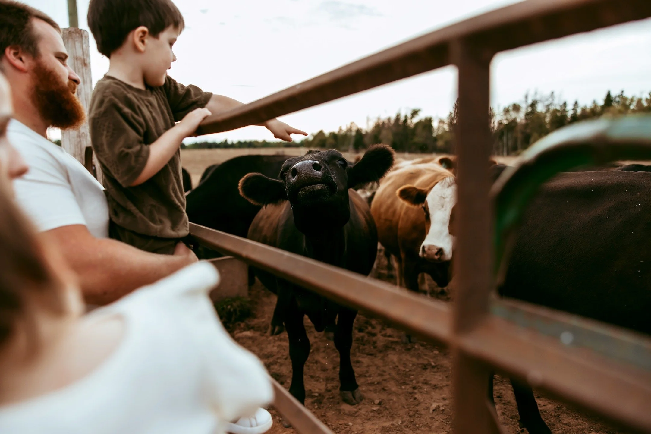 Does anyone have a nice big farm with lots of animals and you'd love to do a lifestyle session? Please consider me! I'll take my rubber boots and coveralls I don't mind getting dirty! I am a fisherman's daughter and I didn't get a lot of experience o