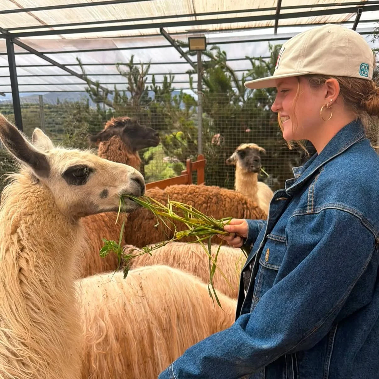🌎⚽ Student Spotlight: @lottie_obrien11 | @newburyporthigh | @gear_to_share 

At The Global Citizen Program, we love seeing our students make a difference&mdash;not only while traveling, but in their own communities as well.

Before joining us in Per