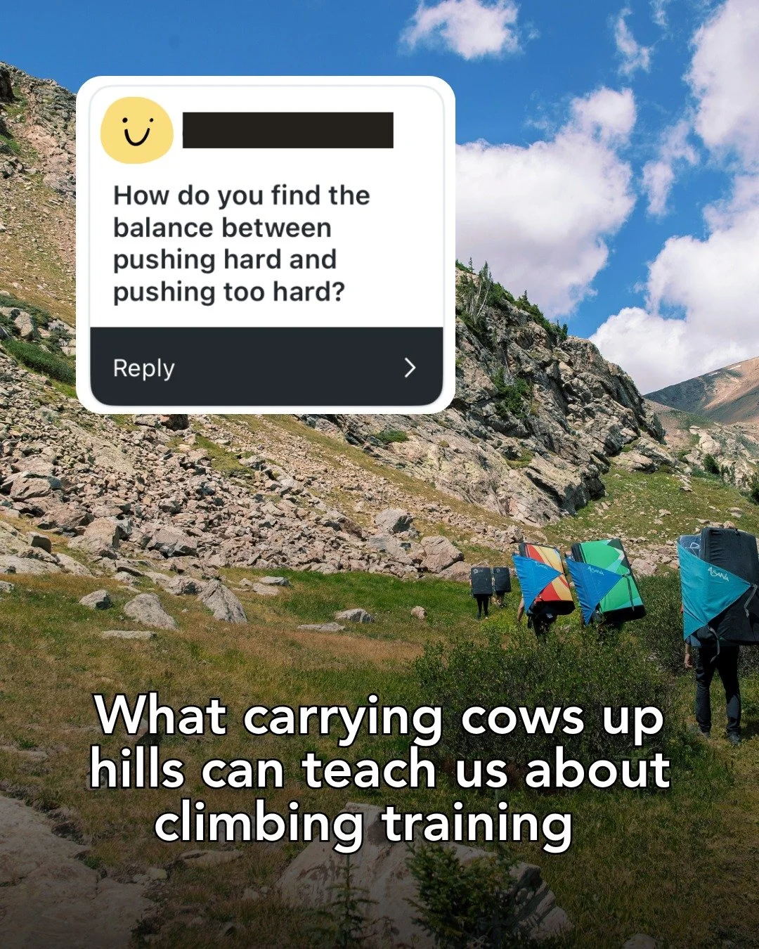 P.S. I did have to look up cattle terms while writing this, and now know the difference between a cow, ox, and bull 😂

If you need help creating a sustainable schedule, comment &ldquo;simple&rdquo; and I&rsquo;ll send you my Simple Training Week Pla