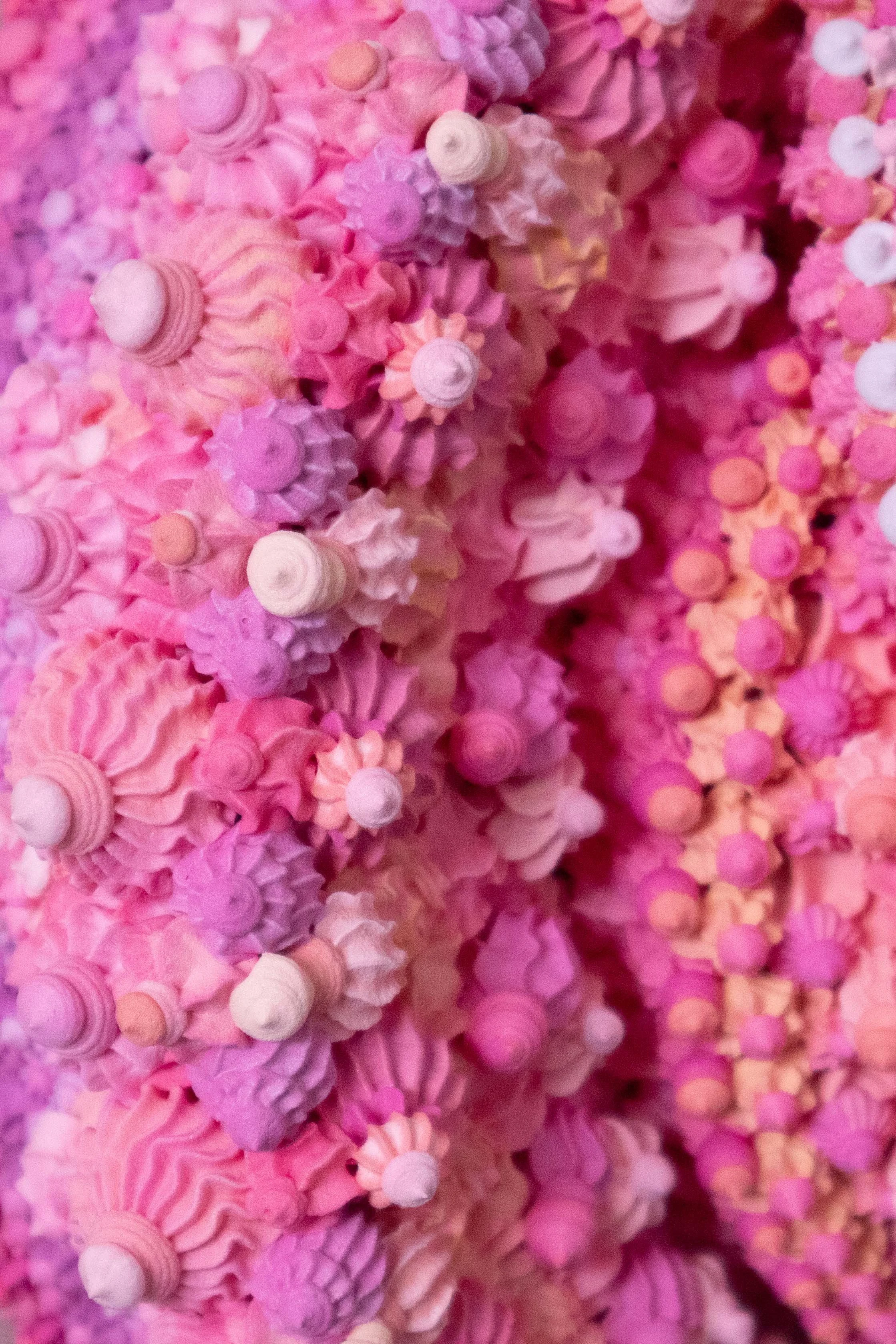 ARALIA MAXWELL — PADA 55