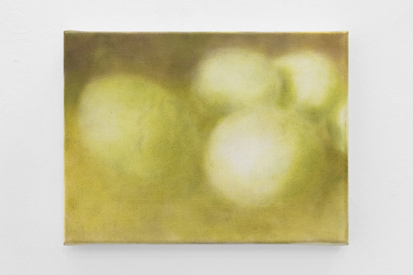 Inês Encarnação, Ovos #2. Óleo sobre tela, 30 x 40 cm, 2025