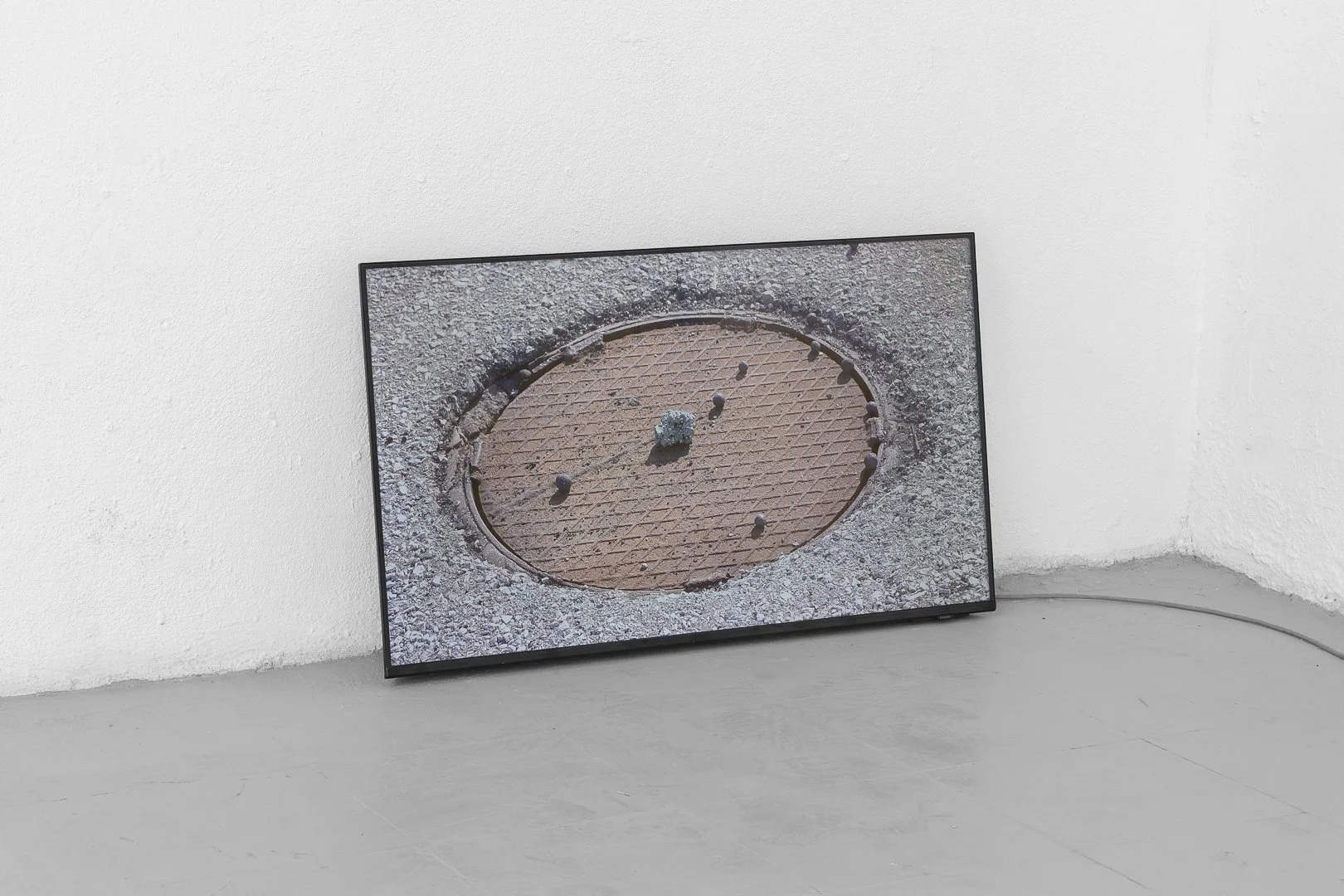 Gaia D’Arrigo, The fool’s playground. Video 5 min. loop, 2026
