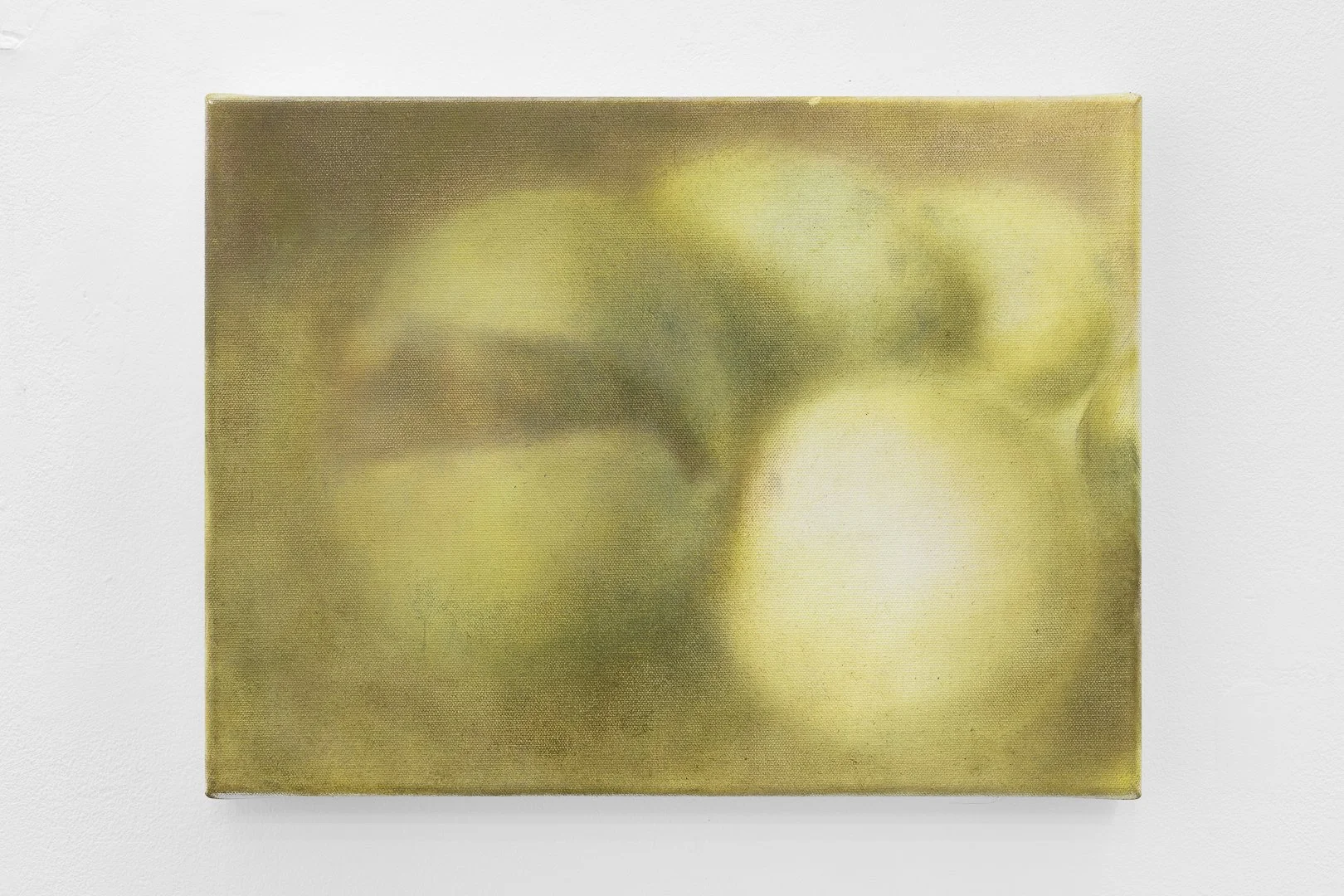 Inês Encarnação, Ovos #1. Óleo sobre tela, 30 x 40 cm, 2025