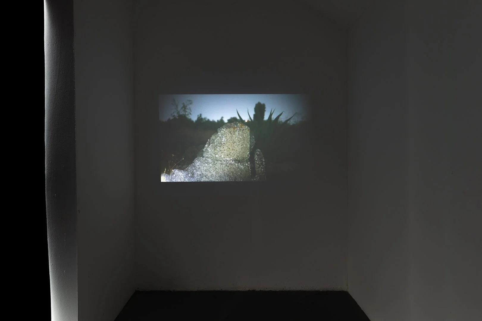 Natasha Carlos, The Glow of Rumination. Vídeo monocanal (cor, silencioso), 3 minutos e 47 segundos, dimensões variáveis, 2025