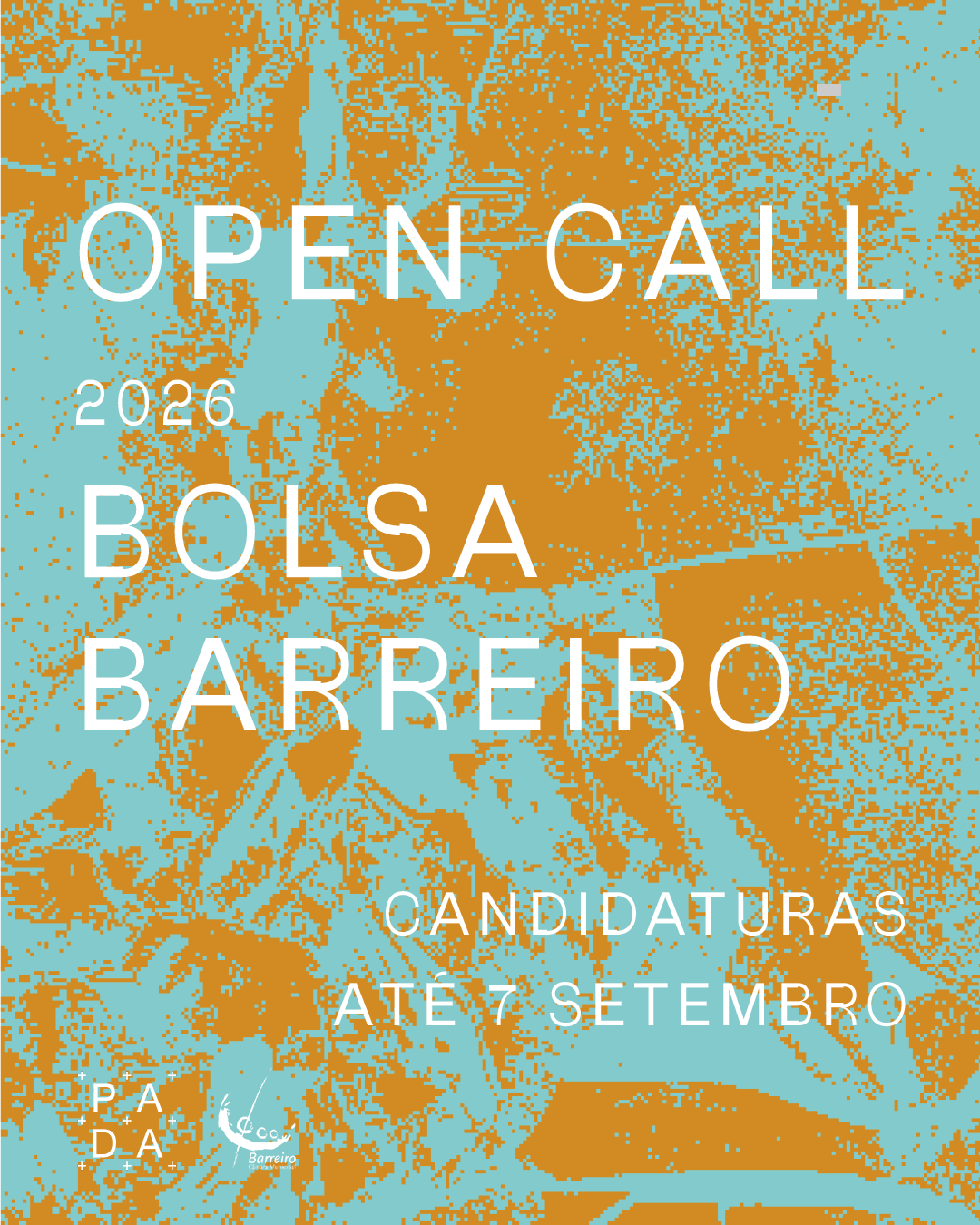 Poster with a pixelated background of a person in a wheelchair and a person standing next to them. Text overlaid reads: 'Open Call 2026 Bolsa Barreiro'; additional text mentions candidates and the date of September 14.