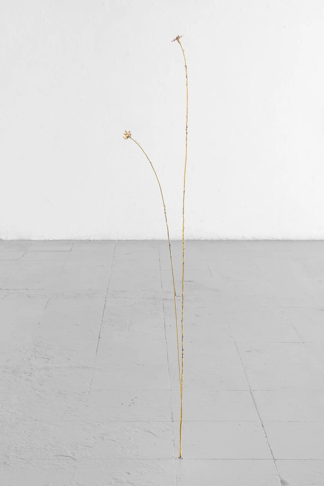 Laura Armengol, Residual petrichor. Brass, copper and industrial park resin, 158 x 30 cm, 2026.