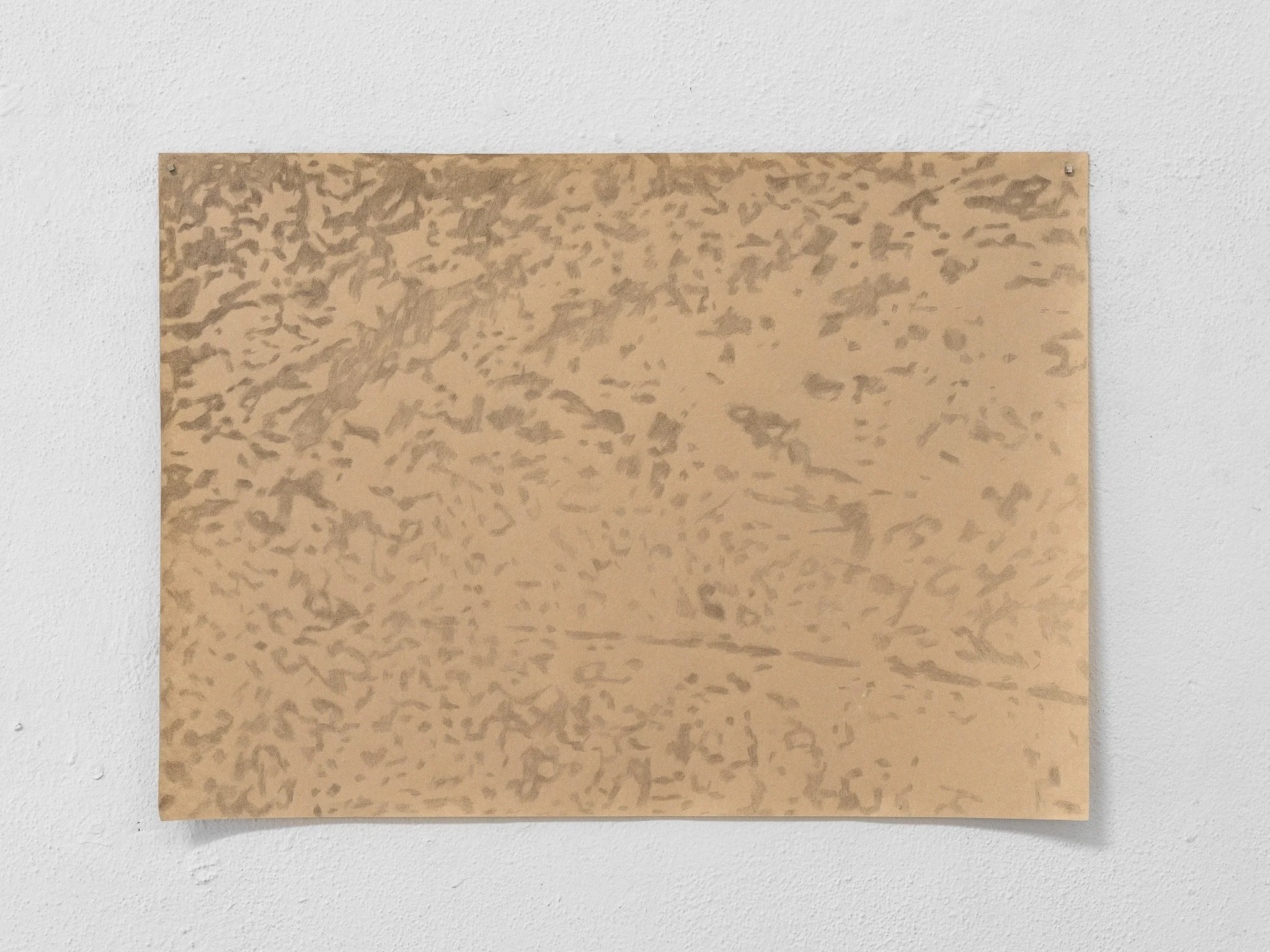 Tiago da Cruz, ground cover. Graphite on paper, 54.61 x 76.2 cm, 2026.
