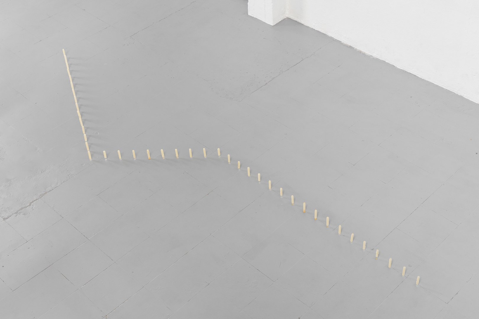 Francisco Pinto de Almeida, Depósito. Látex, tubo de acrílico e mel, dimensões variáveis, 2025
