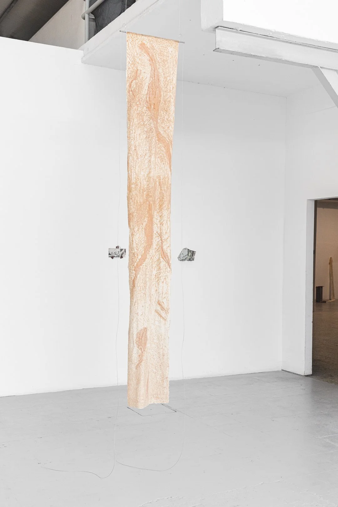 Nosh Neneh, Closterium. Eco-latex, staal, 260 x 42 cm, 2025