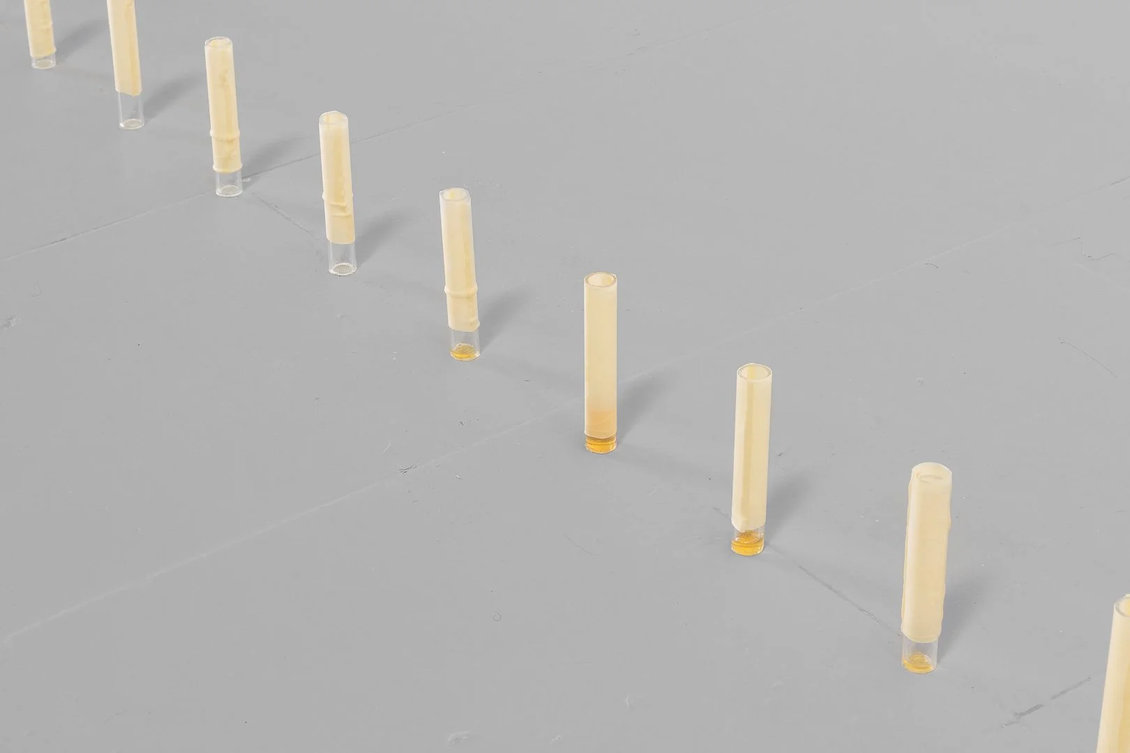 Francisco Pinto de Almeida, Depósito. Látex, tubo de acrílico e mel, dimensões variáveis, 2025
