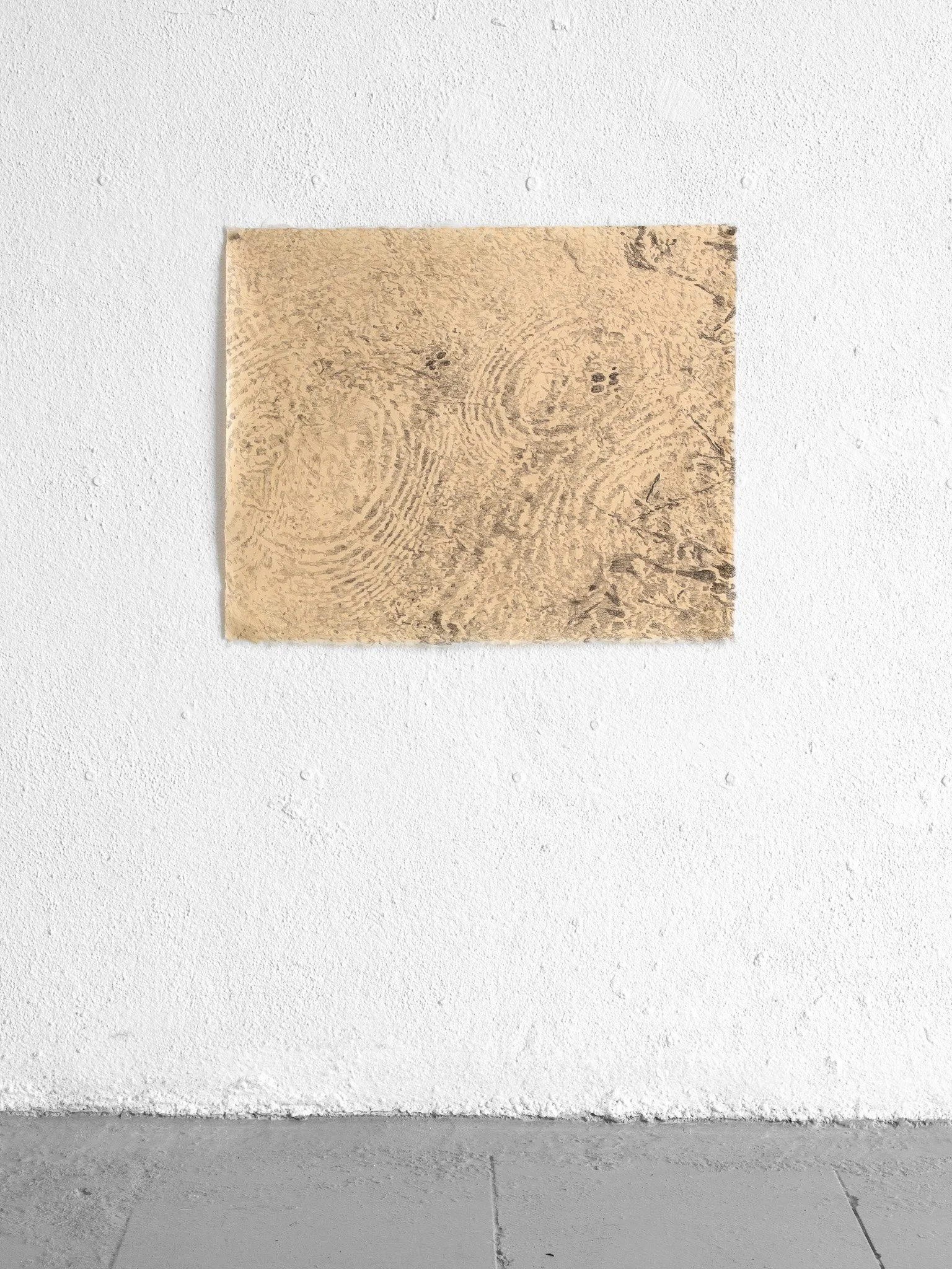 Tiago da Cruz, streaming. Graphite on paper, 43 x  52 cm, 2026.