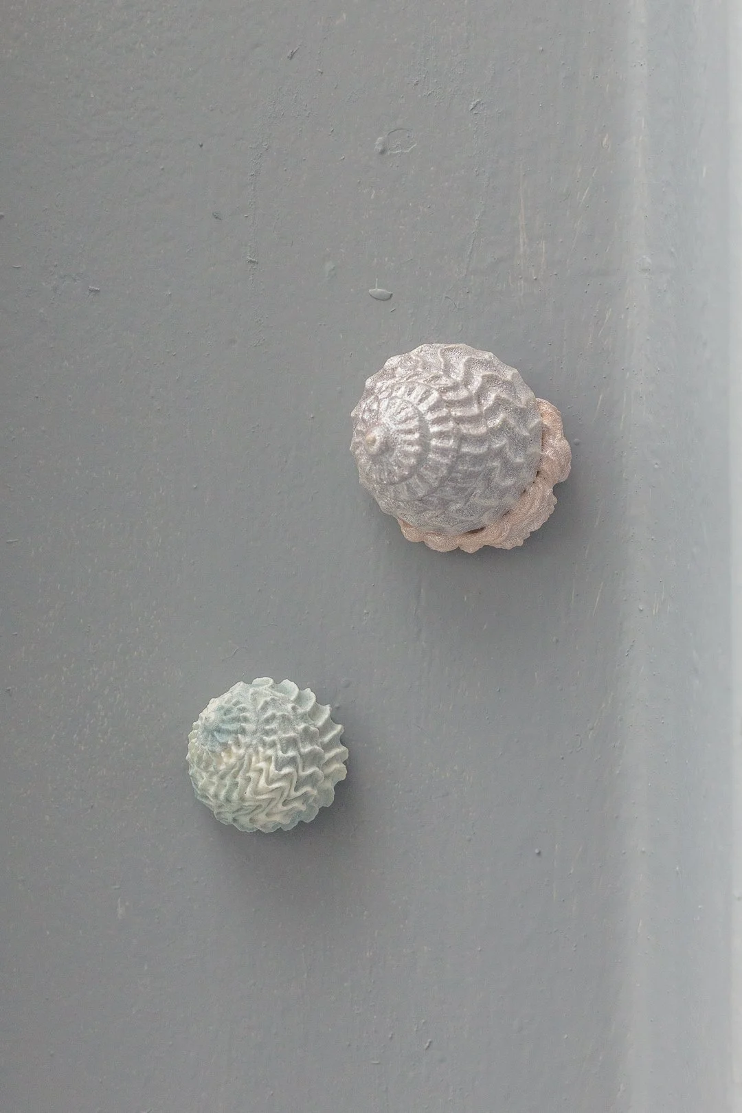 Aralia Maxwell, Gastropoda. Acrylic paint on wood, variable dimensions, 2026.