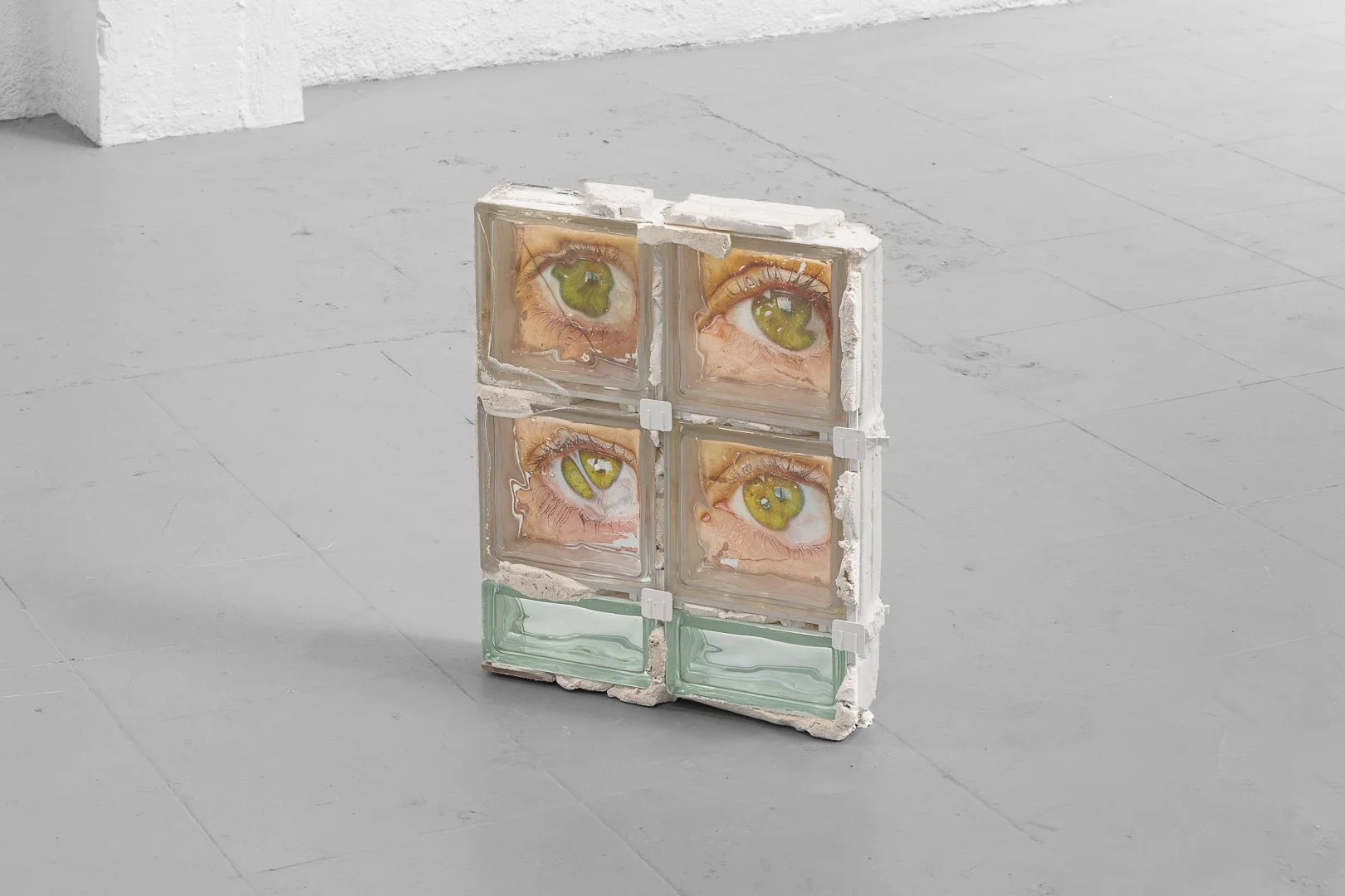 Kim Winder, Before Release. Photograph on found object, 40 x 50 cm, 2026