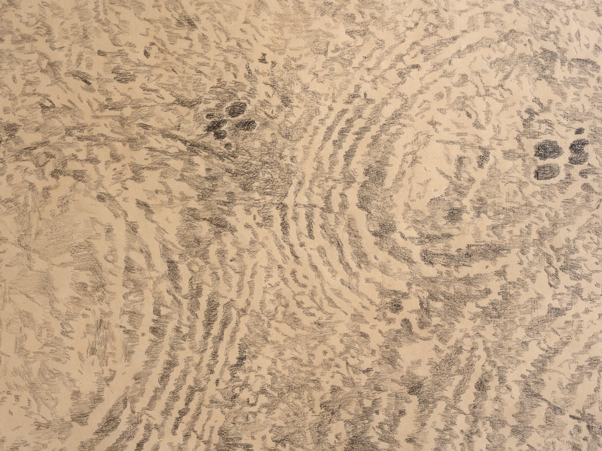 Pada Residency 55 - Gallery - 51.jpg