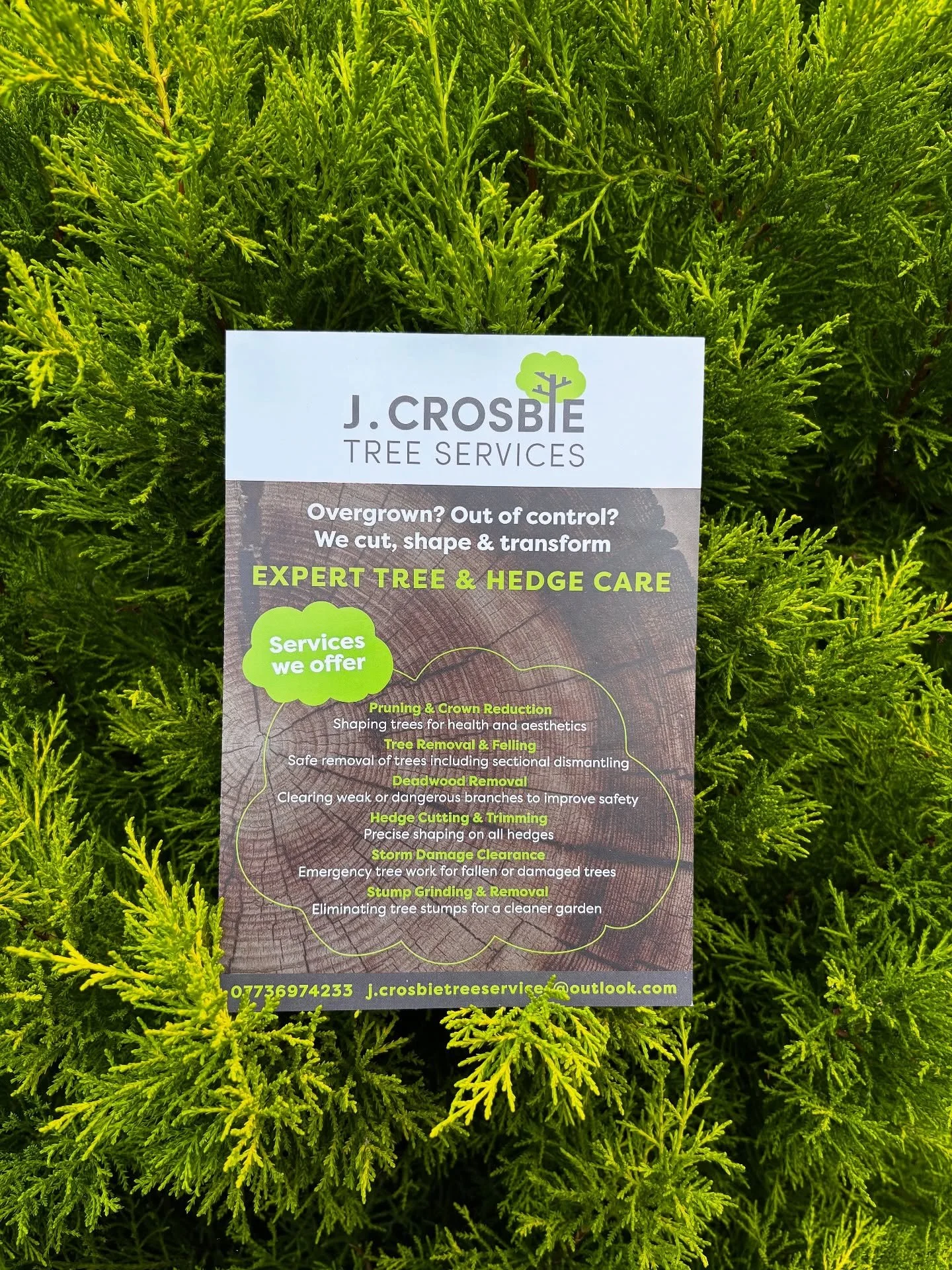 Leaflet design for @j.crosbietreeservices 🌳

Email contact@daisywilkinsondesign.com to get started with creating your own custom branding and marketing

#leaflet #branding #branddesign #leafletdesigner #flyerdesign