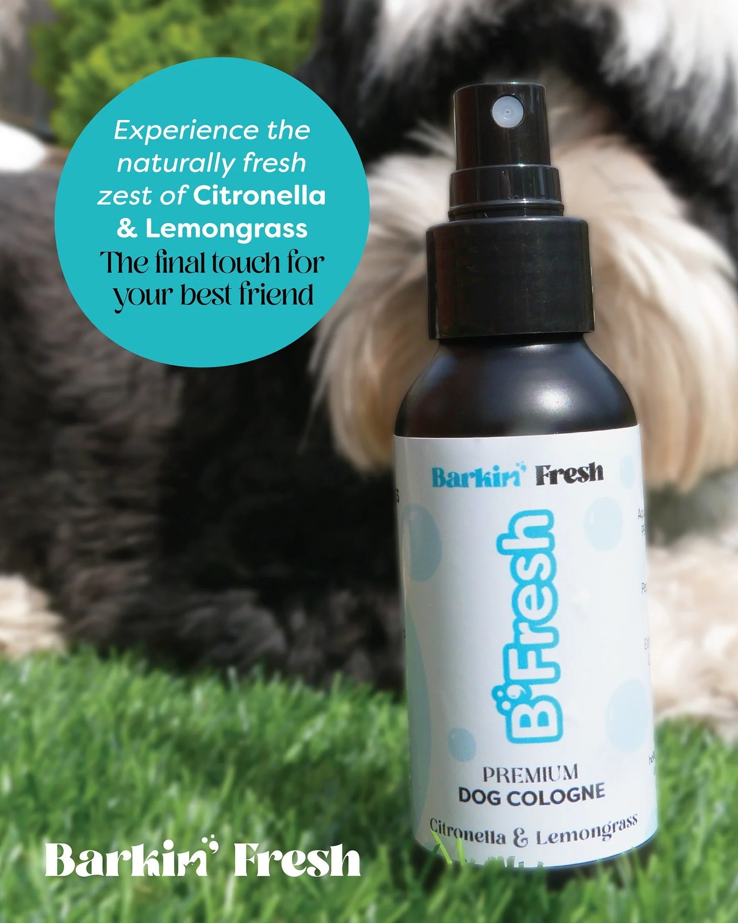 the final touch for your best friend🐾

Packaging, marketing and social media design for @barkinfreshdoggroomers 

#dog #doggroomer #dogsofinstagram #packaging #stickerdesign #labeldesign