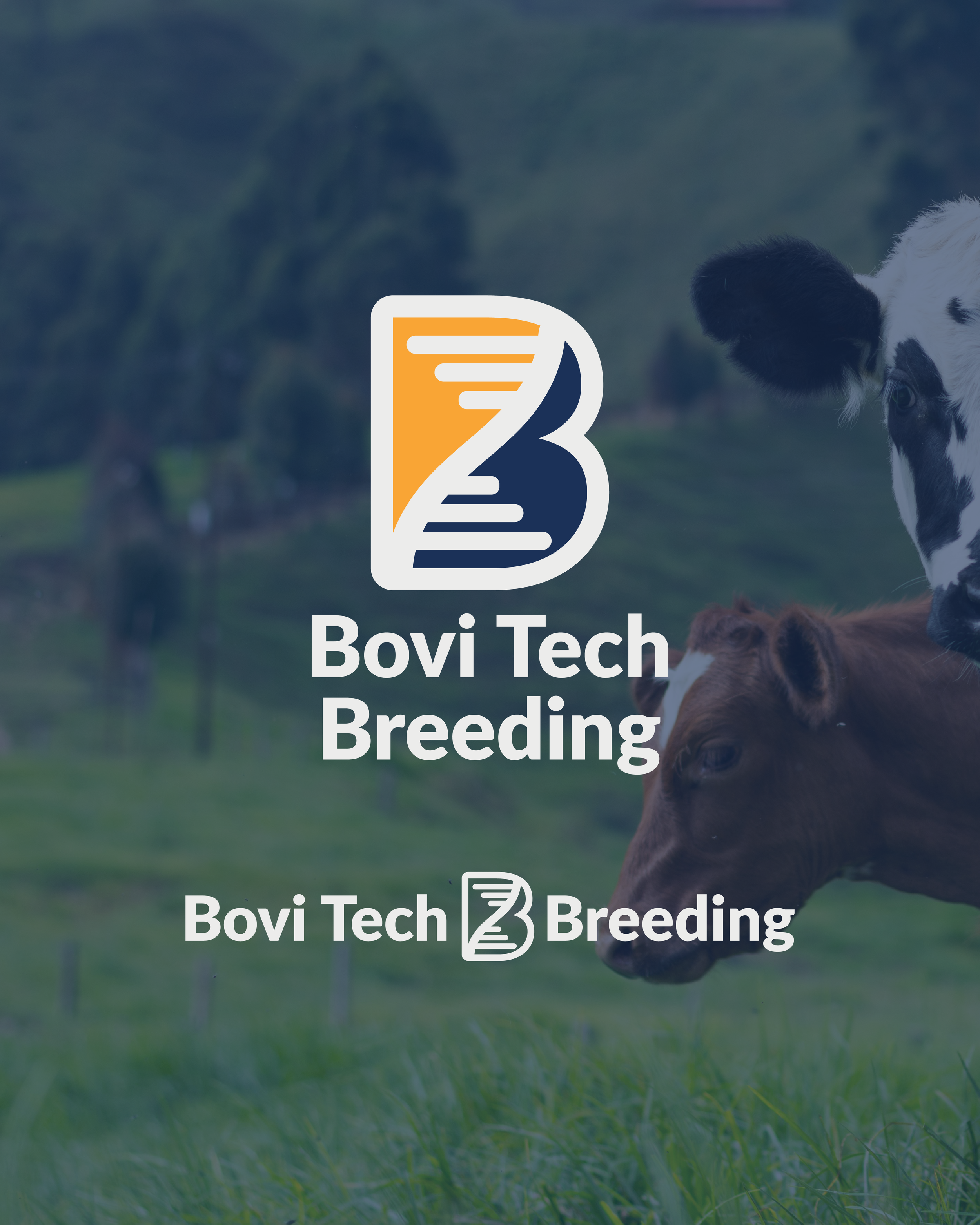 Logo for Bovi Tech Breeding over a background of cattle grazing in a green field