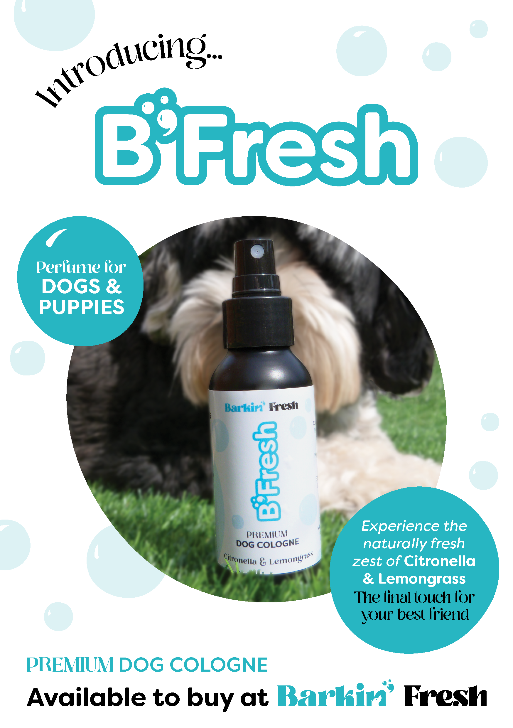 Barkin Fresh Leaflet 252.PNG