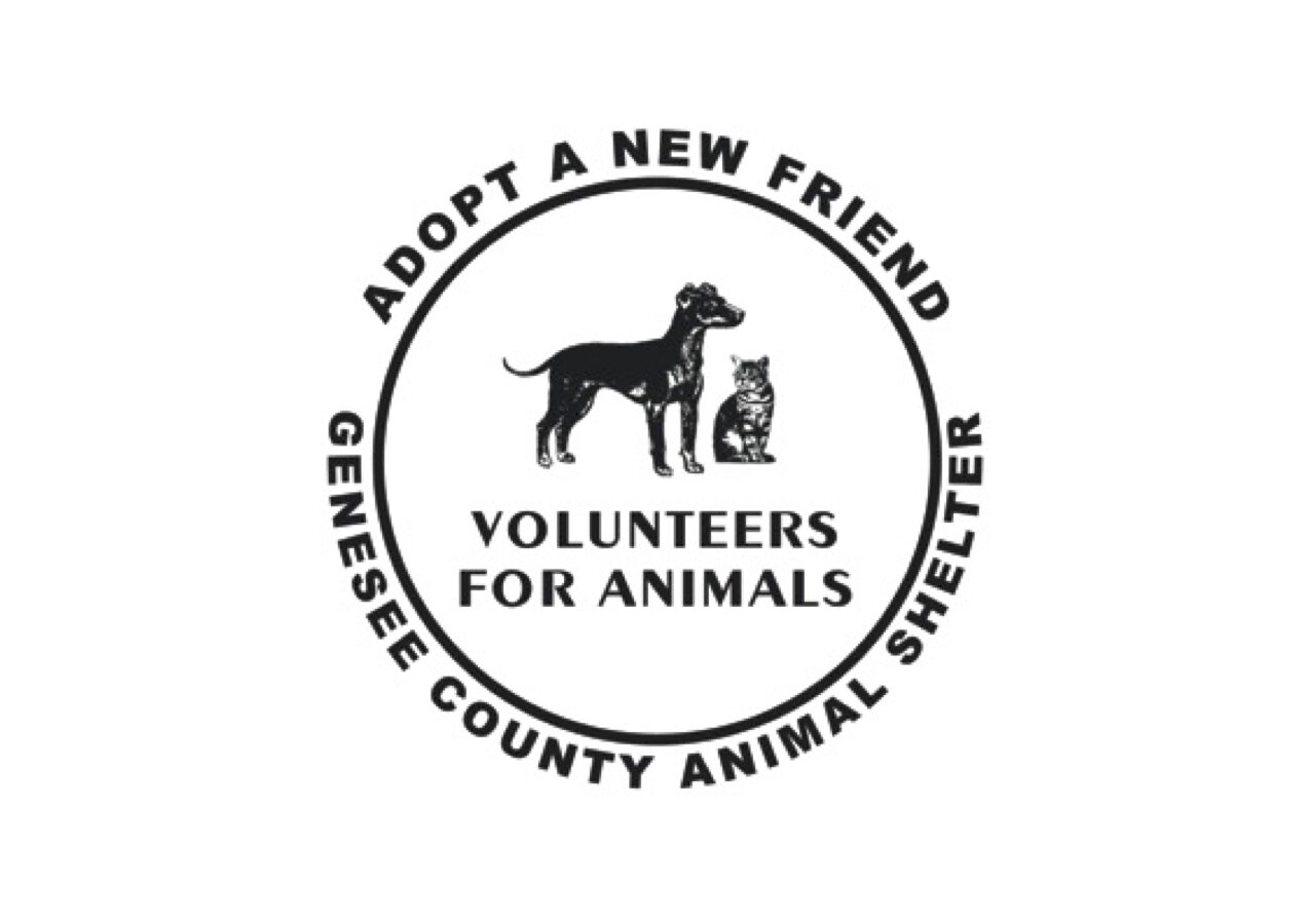 Volunteers For Animals