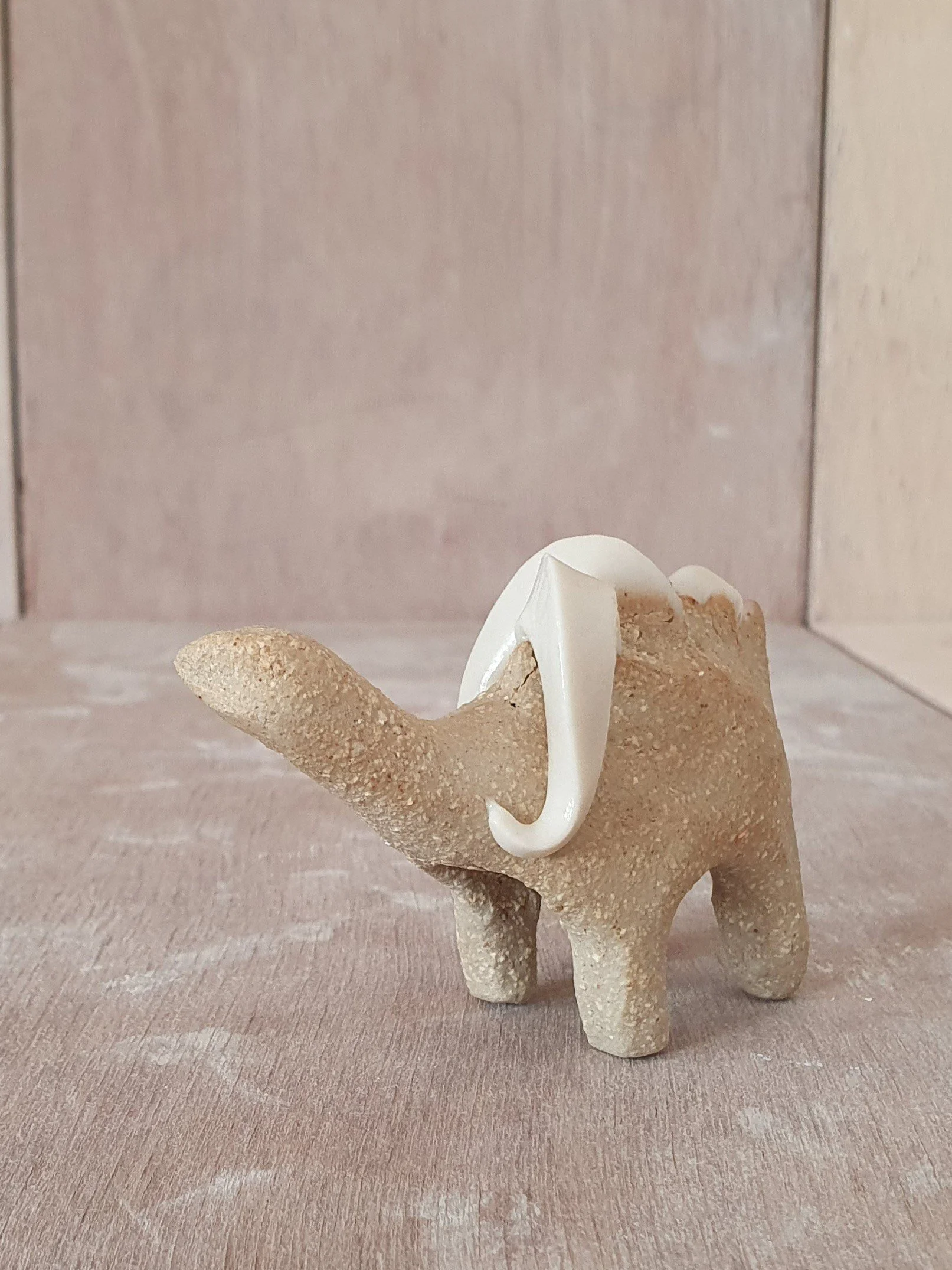4. Conesaur
