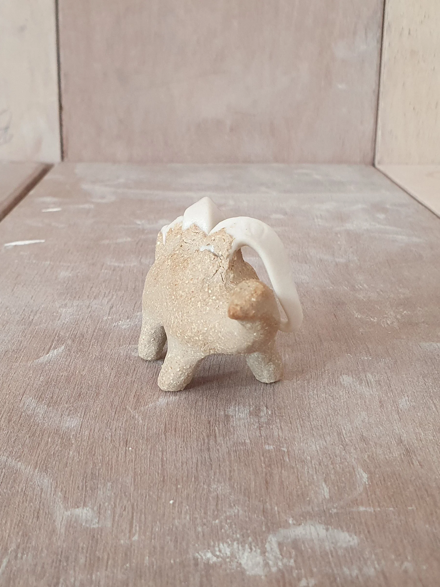 Conesaur 8 iv.jpg
