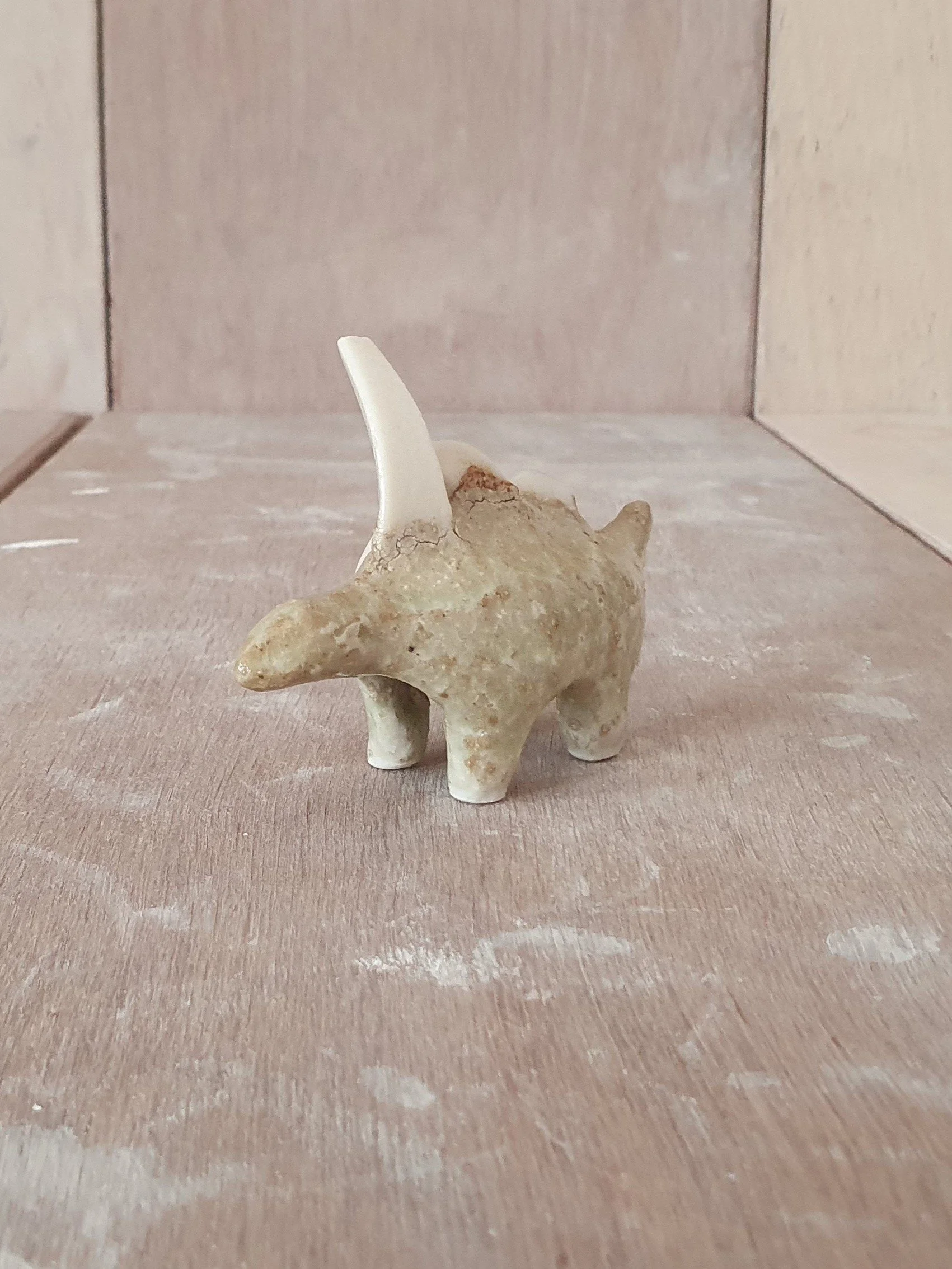 Conesaur 15 iii.jpg