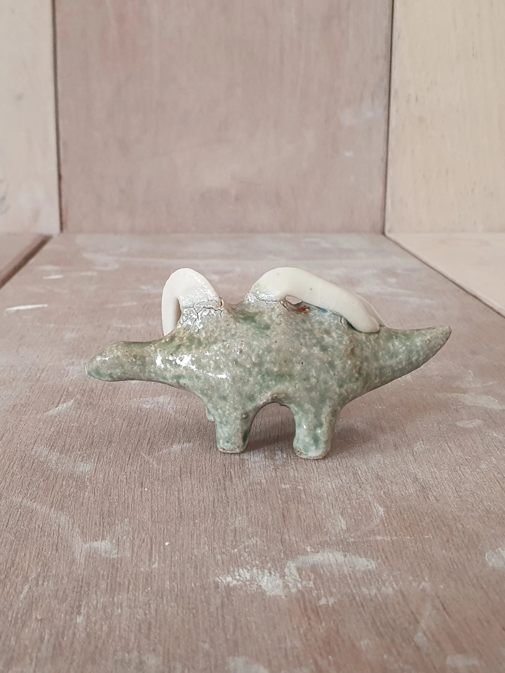 Conesaur 14 iv.jpg