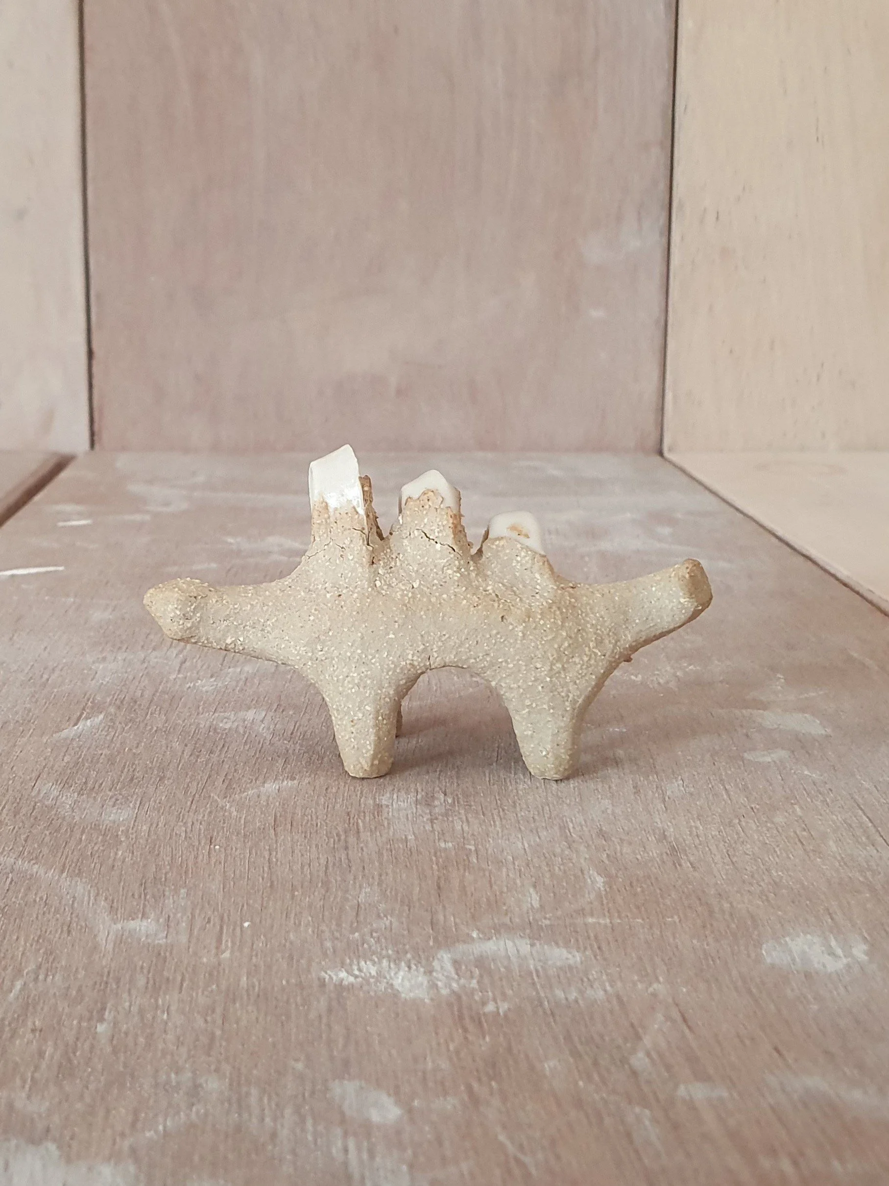 Conesaur 10 iv.jpg